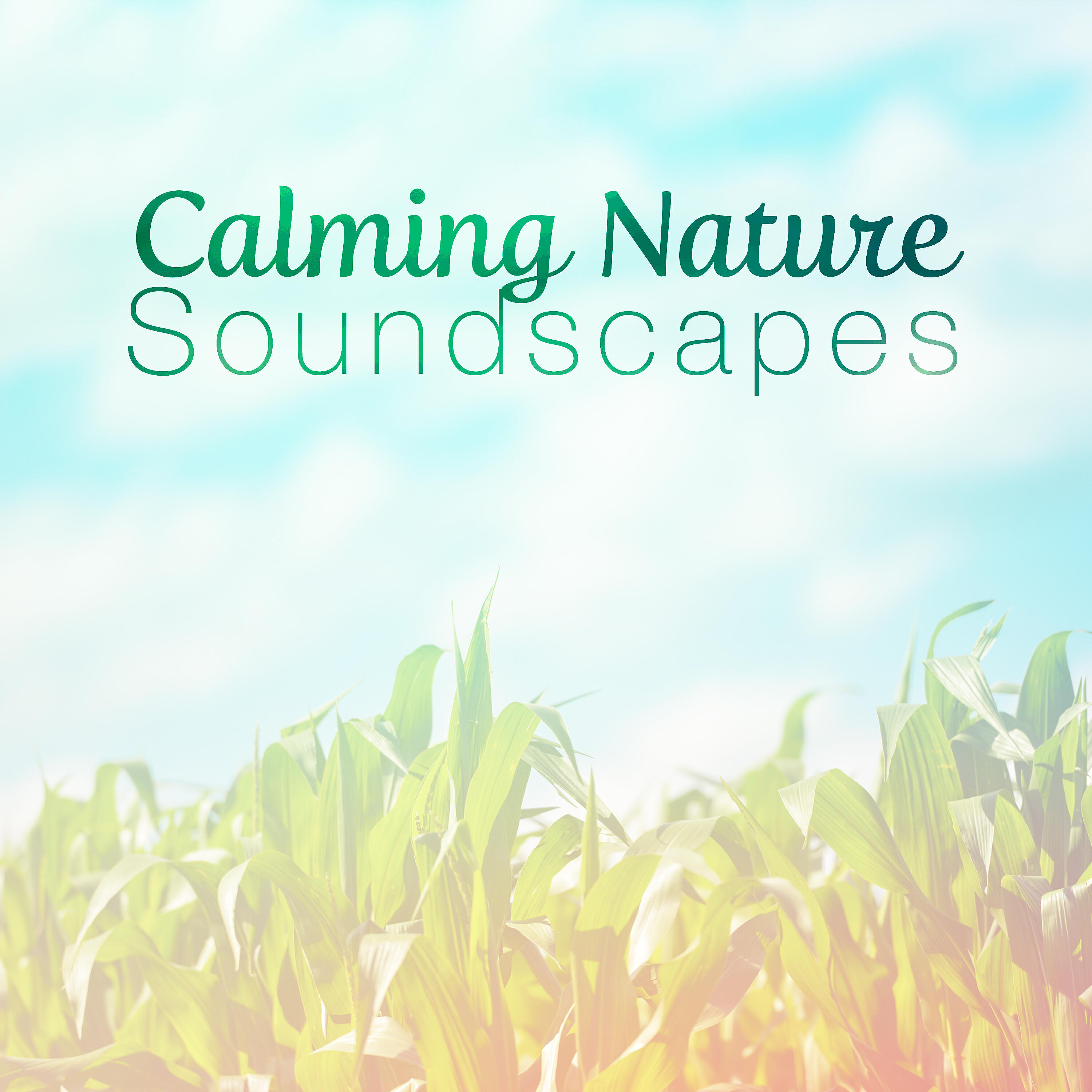 Релиз Calming Nature Soundscapes