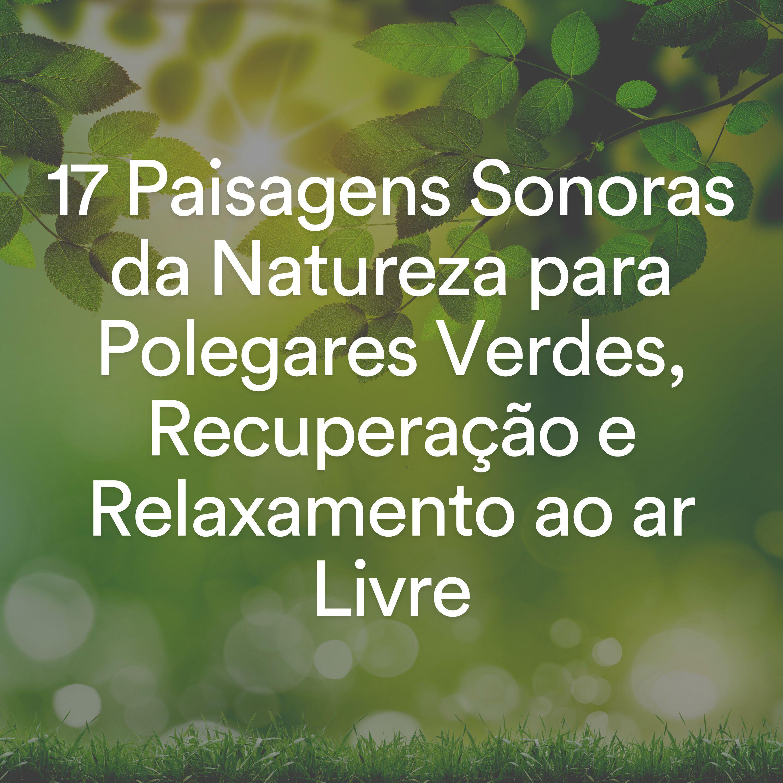 Релиз 17 Paisagens Sonoras da Natureza para Polegares Verdes, Recuperação e Relaxamento ao ar Livre