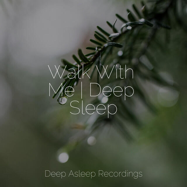 Постер альбома Walk With Me | Deep Sleep