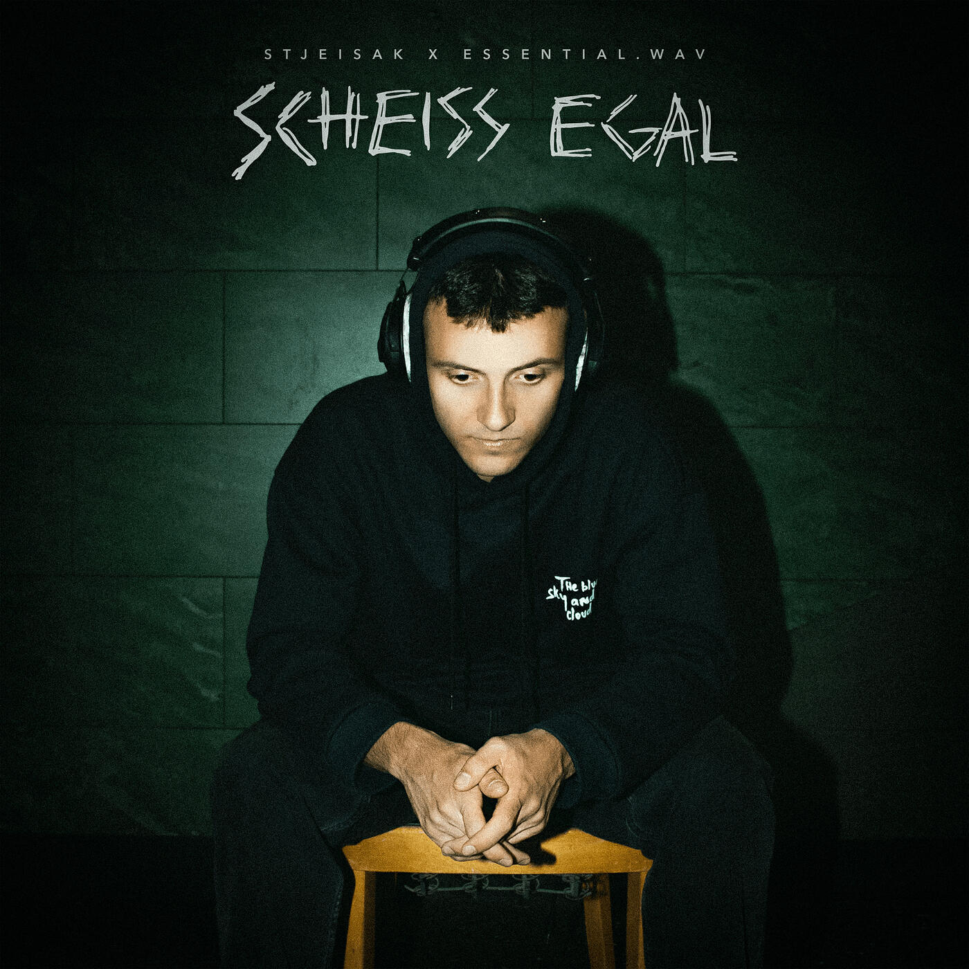 Релиз Scheiss Egal