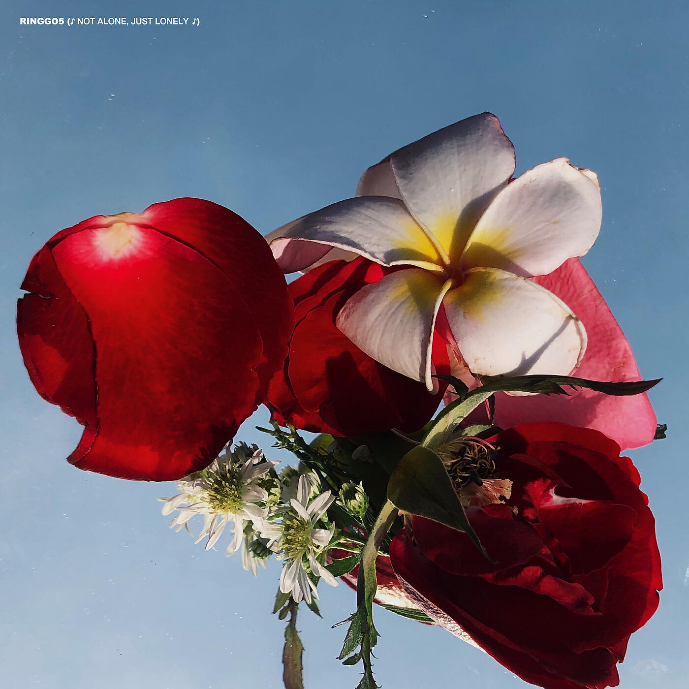 Релиз Not Alone, Just Lonely