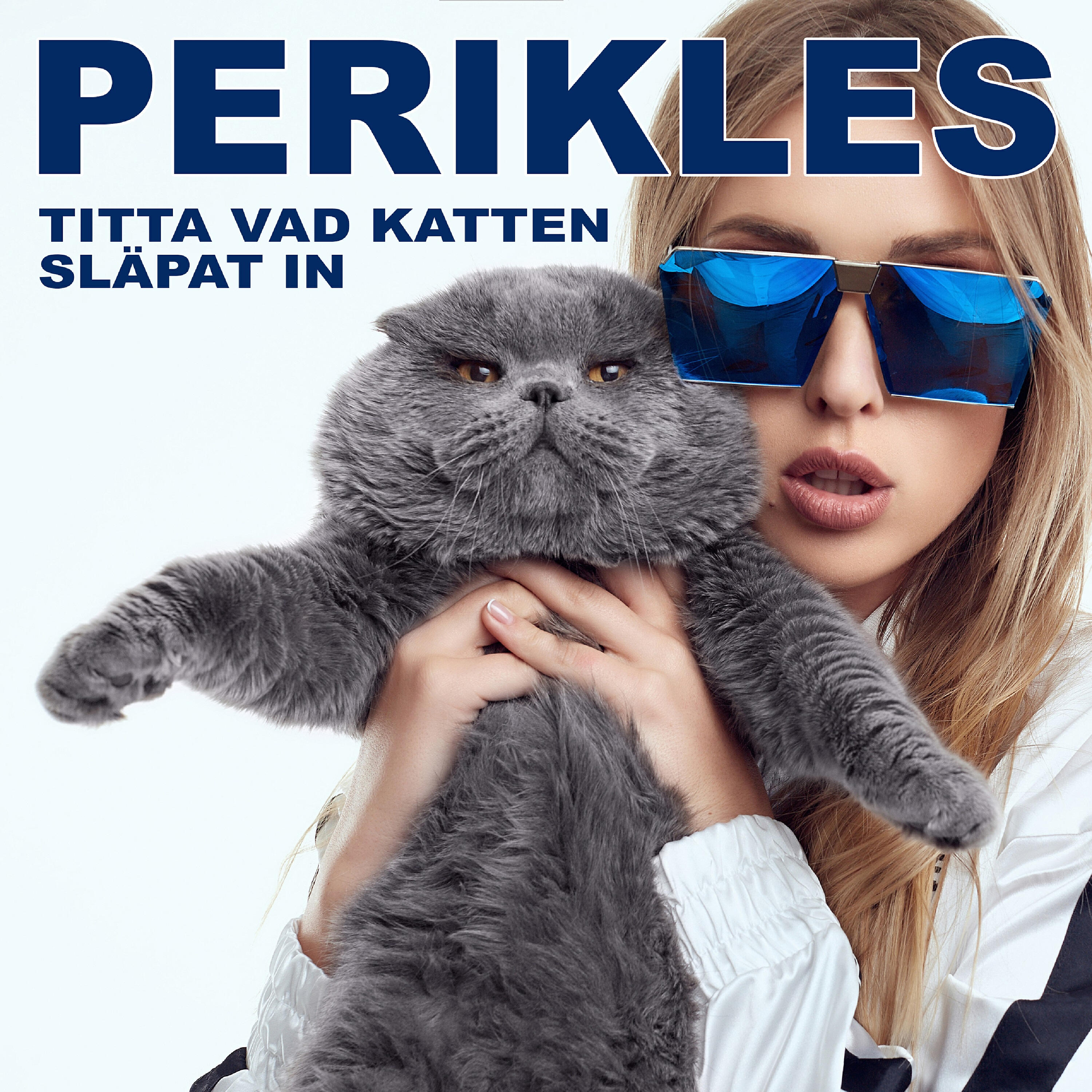 Релиз Titta Vad Katten Släpat In