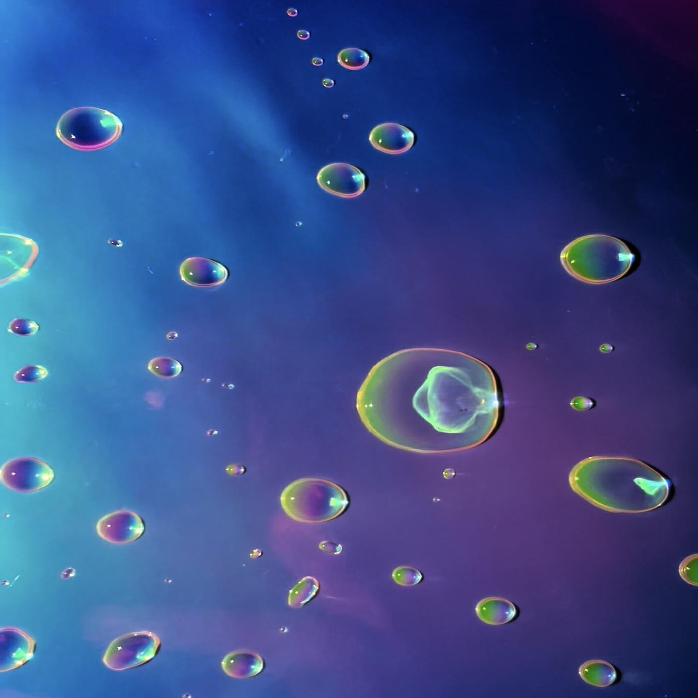 Релиз The Stars Are in You