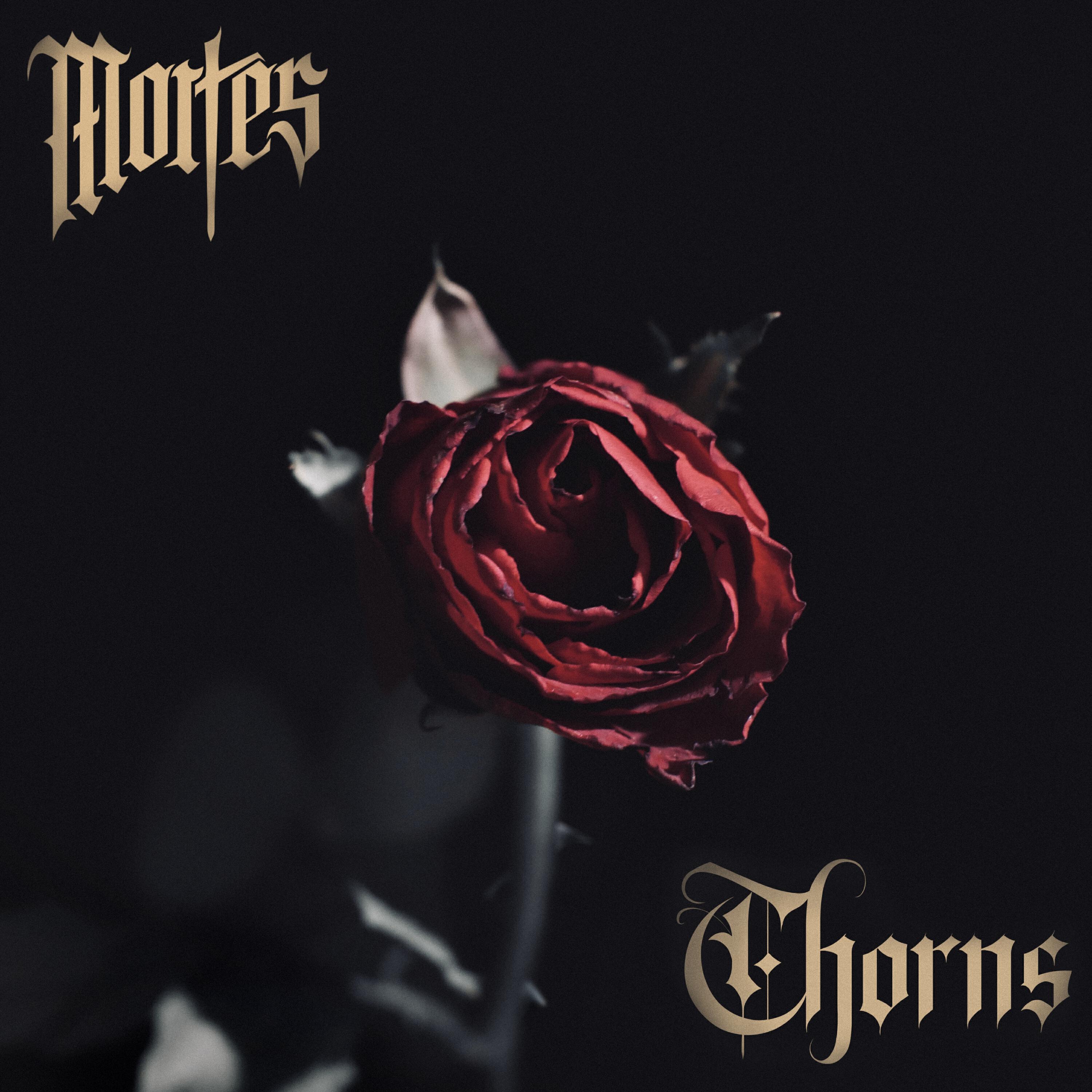 Релиз THORNS