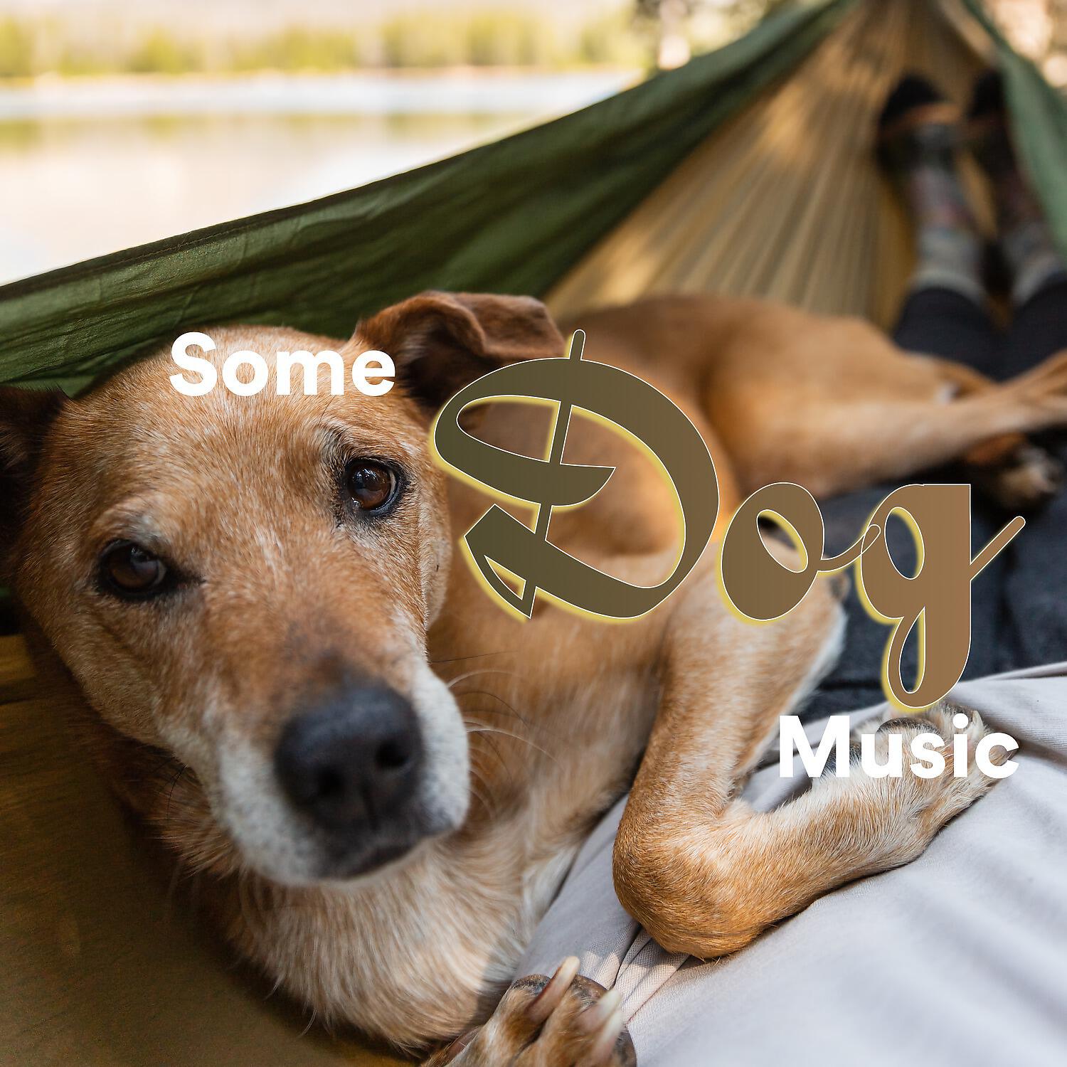 Релиз Some Dog Music