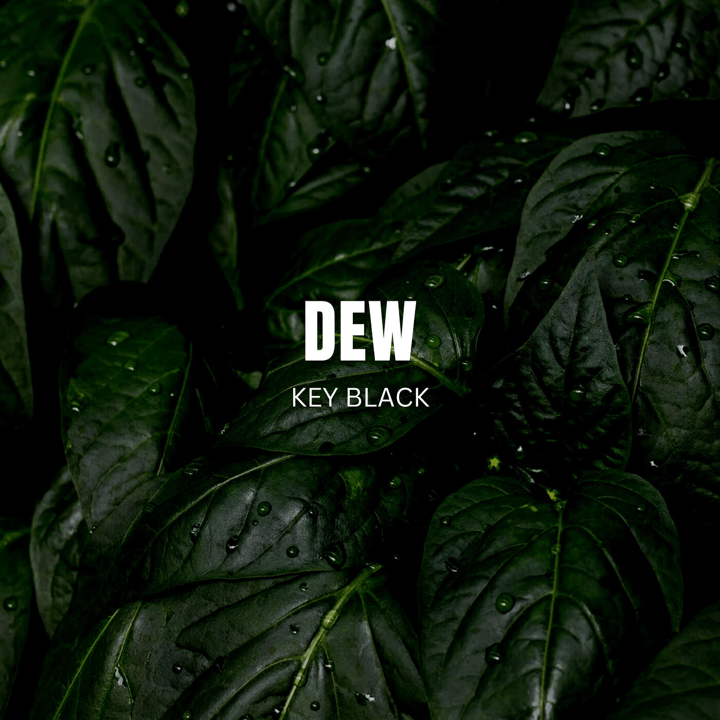 Релиз Dew