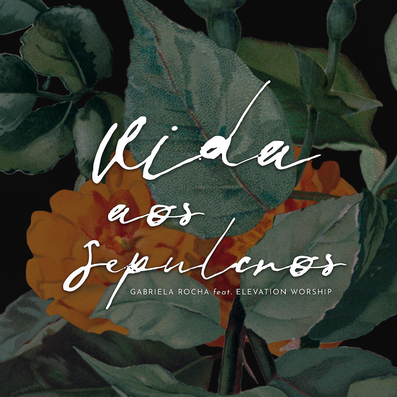 Релиз Vida aos Sepulcros