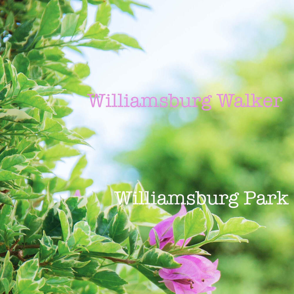 Williamsburg Walker