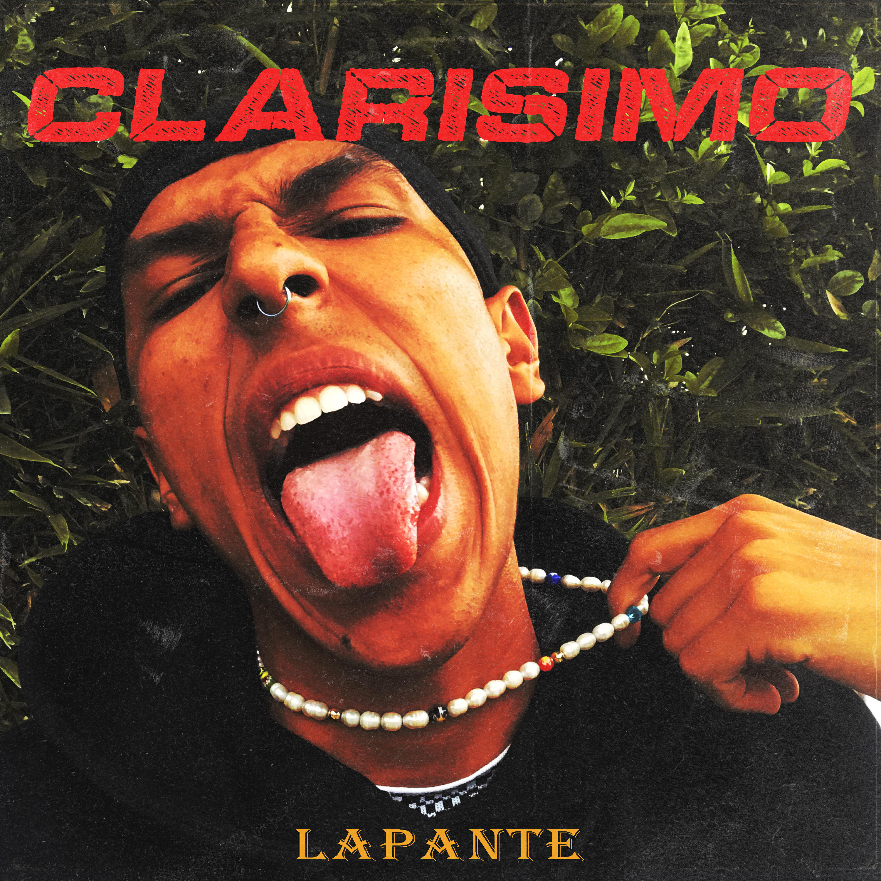 Релиз Clarisimo