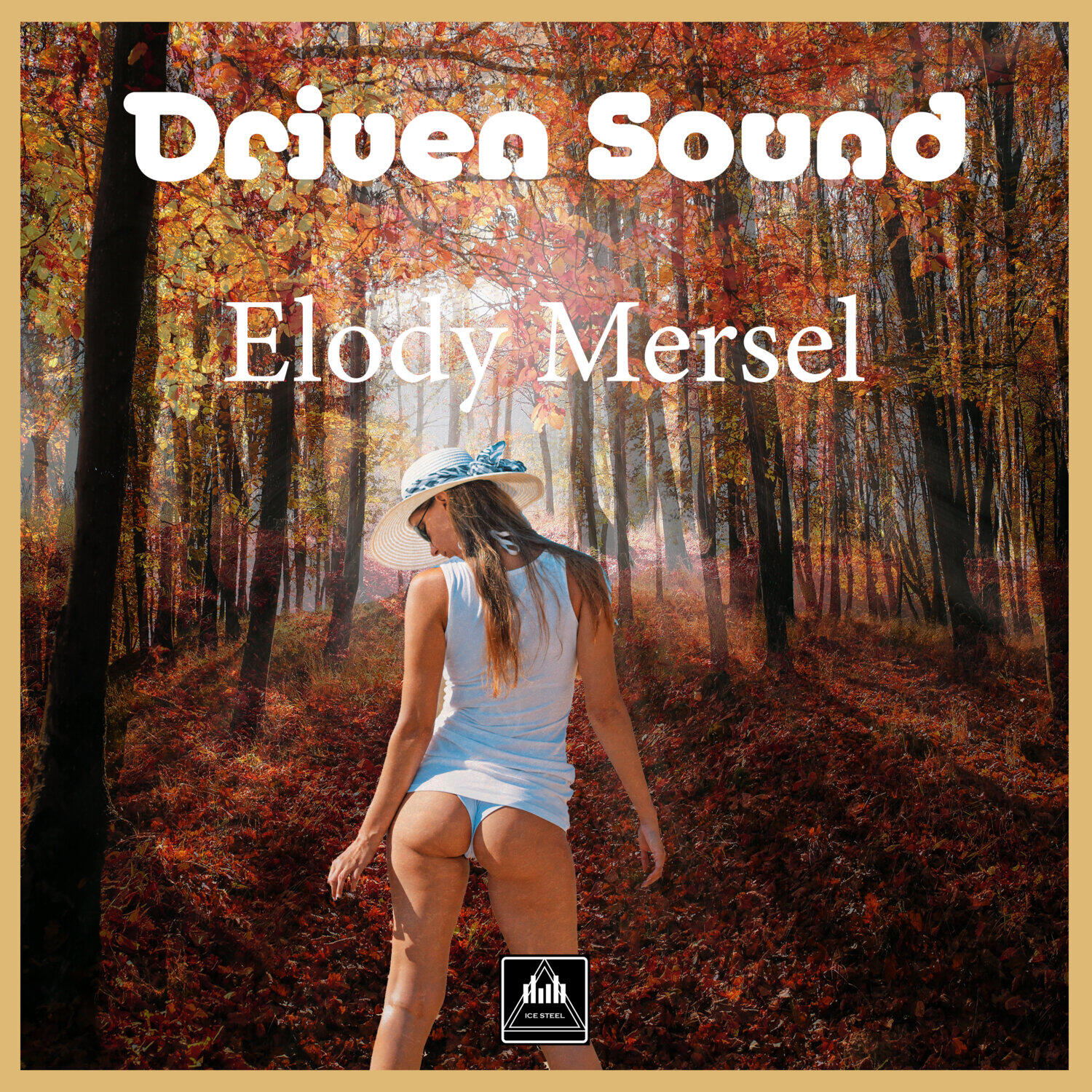 Релиз Driven Sound