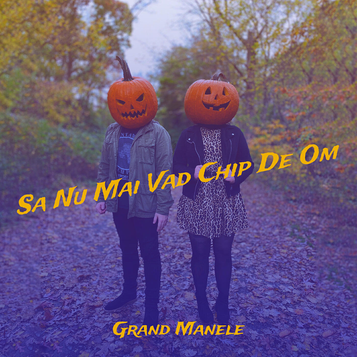 Релиз Sa Nu Mai Vad Chip De Om