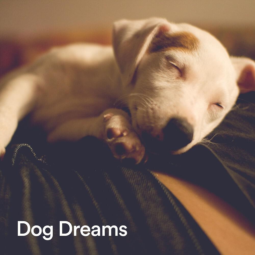 Релиз Dog Dreams
