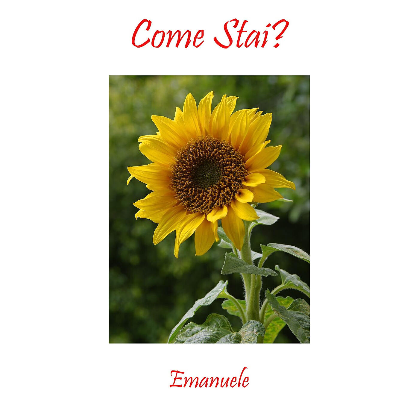 Emanuele