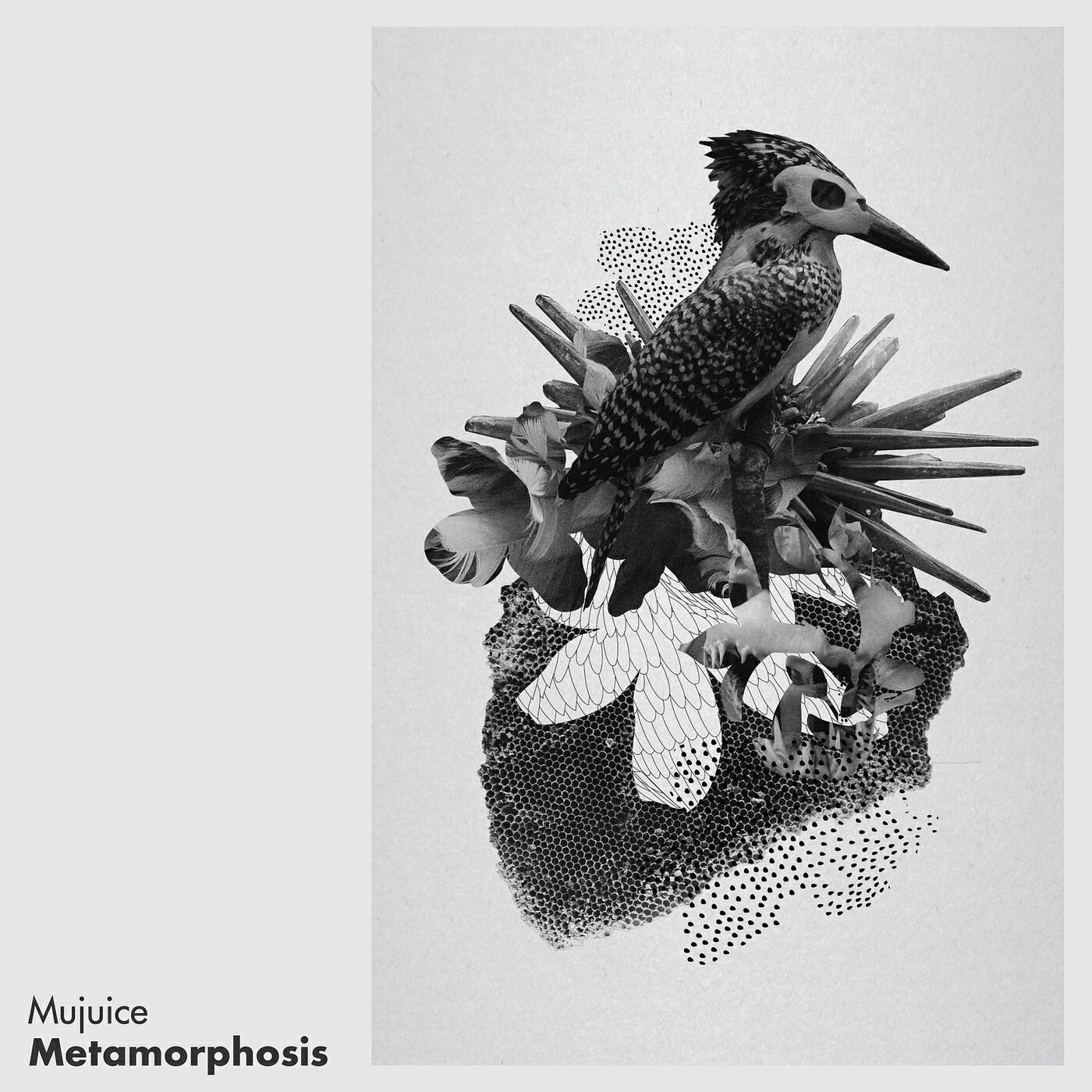 Релиз Metamorphosis