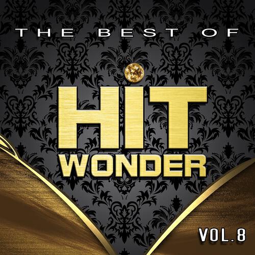 Релиз Hit Wonder: The Best Of, Vol. 8