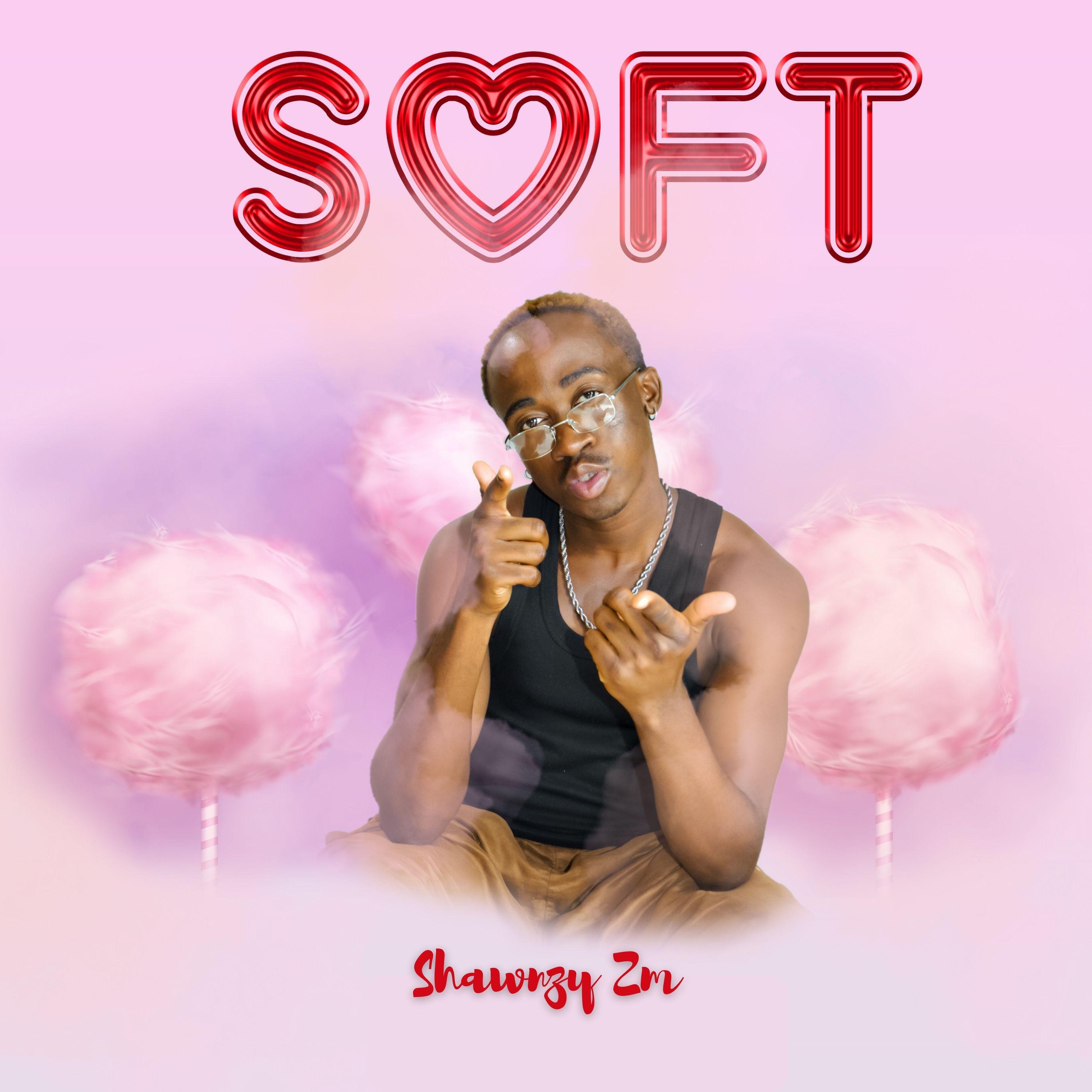 Релиз Soft