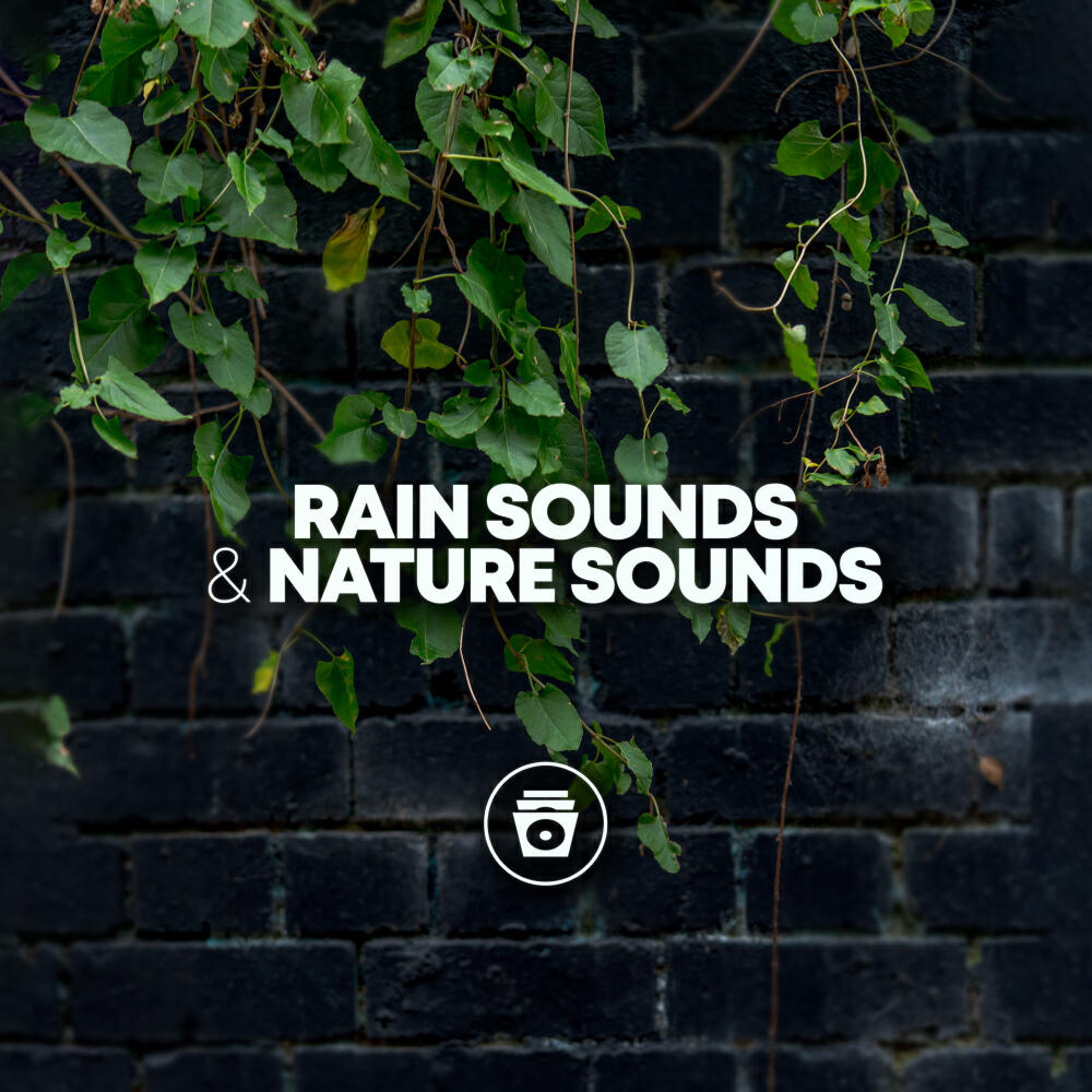 Релиз Rain Sounds & Nature Sounds