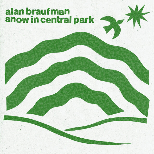 Релиз Snow in Central Park