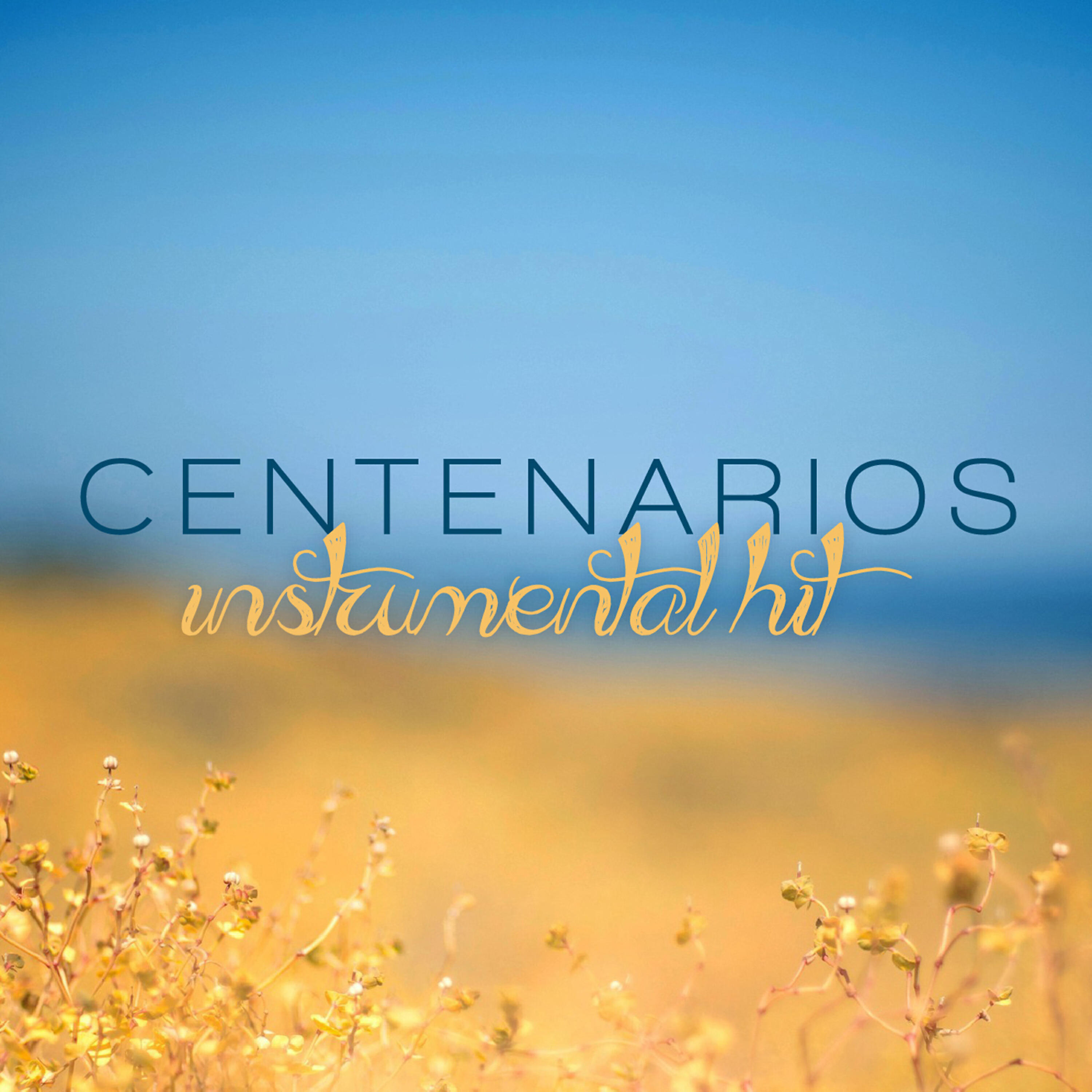 Релиз Instrumental Hit