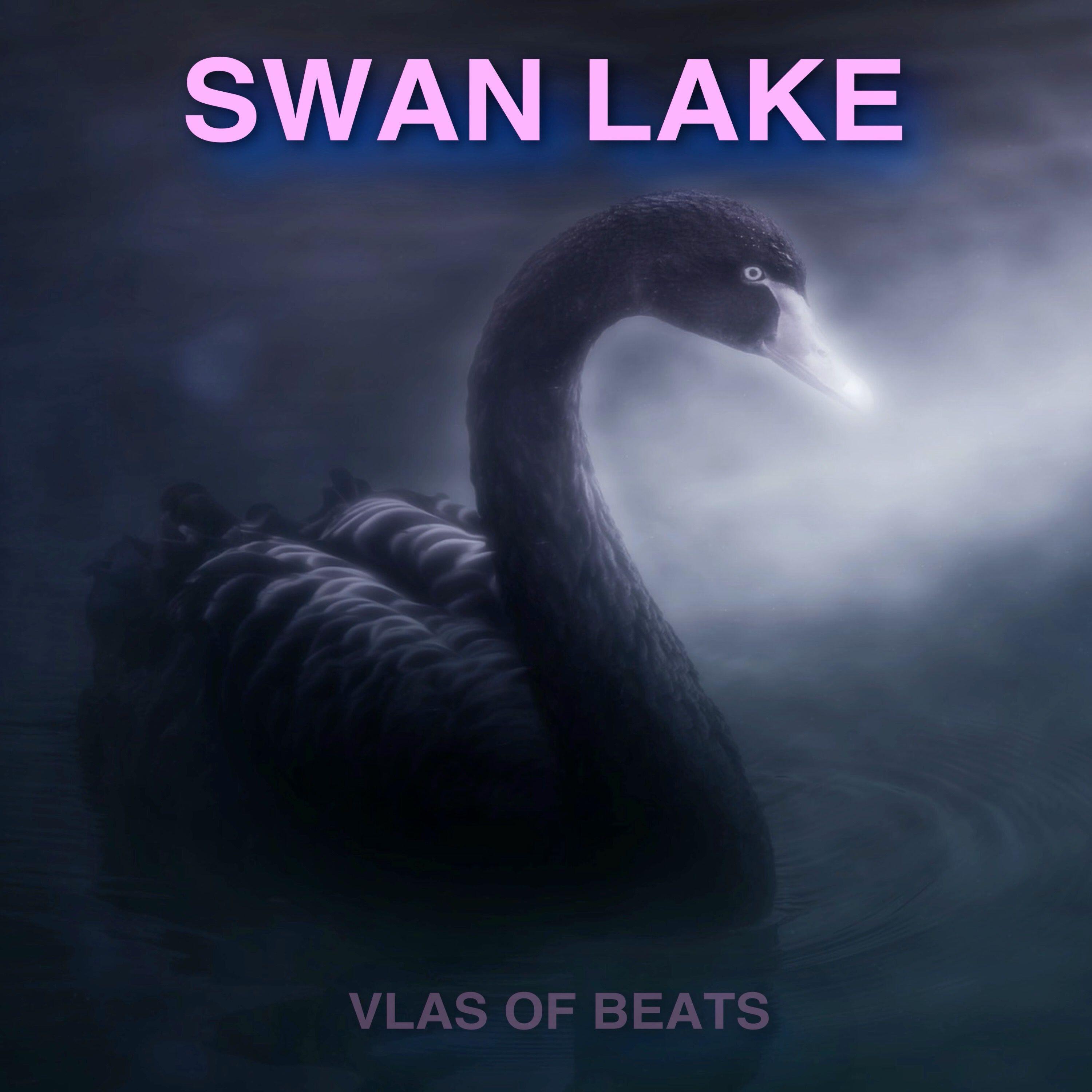 Релиз SWAN LAKE