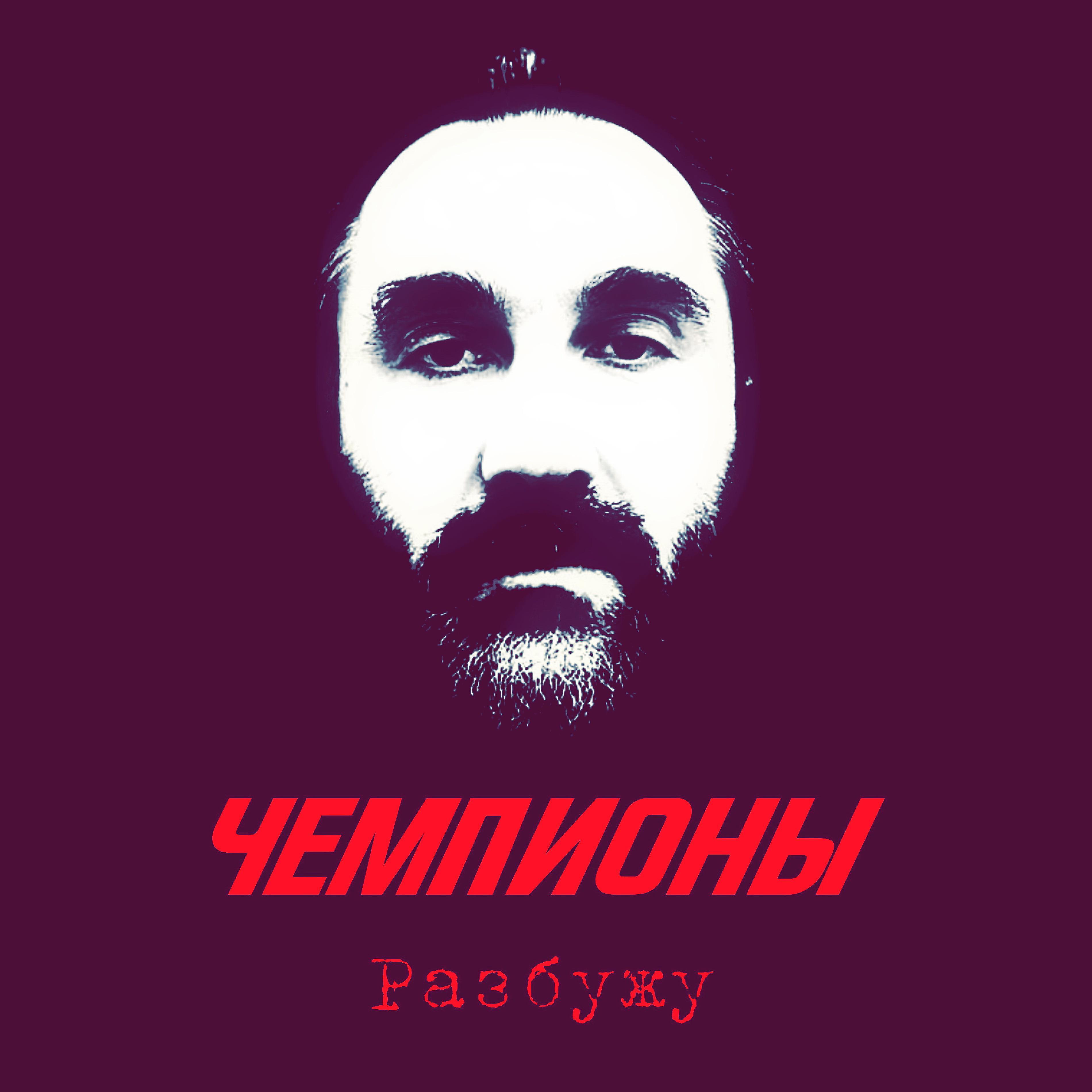 Чемпионы