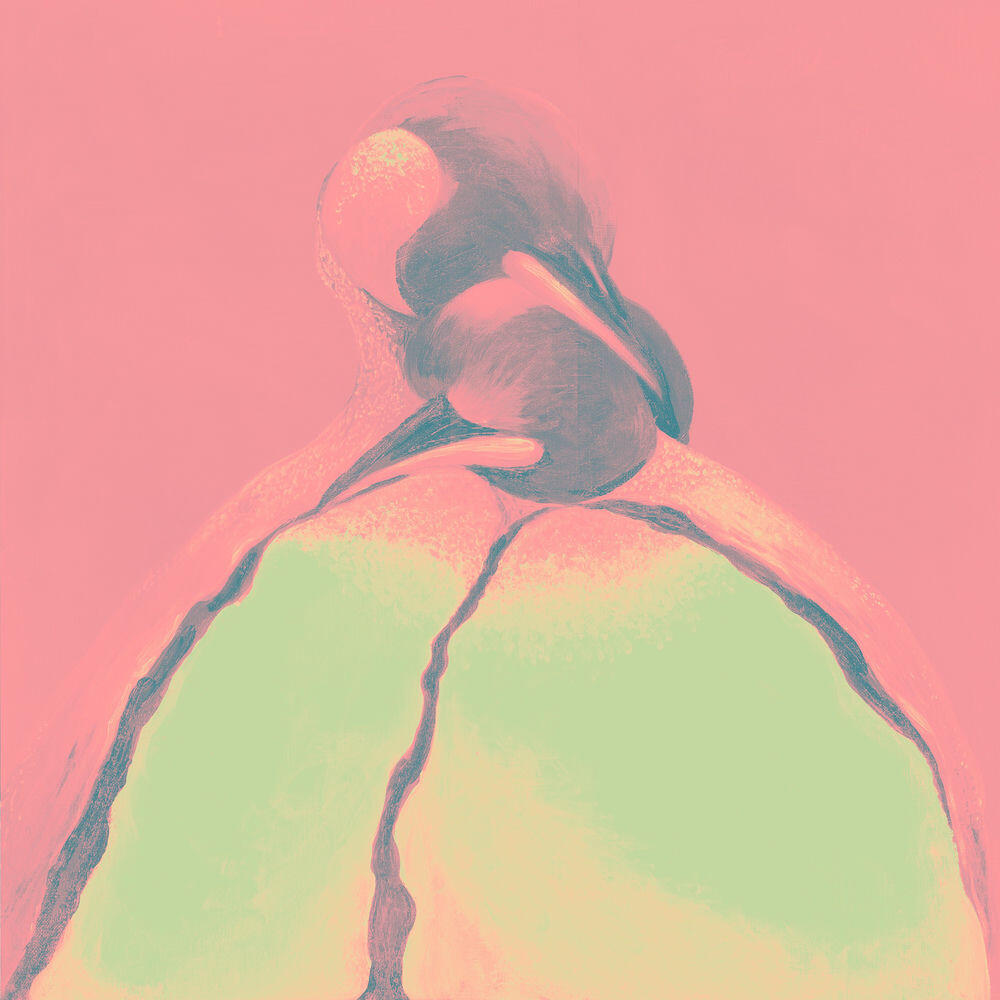 SOUTH PENGUIN