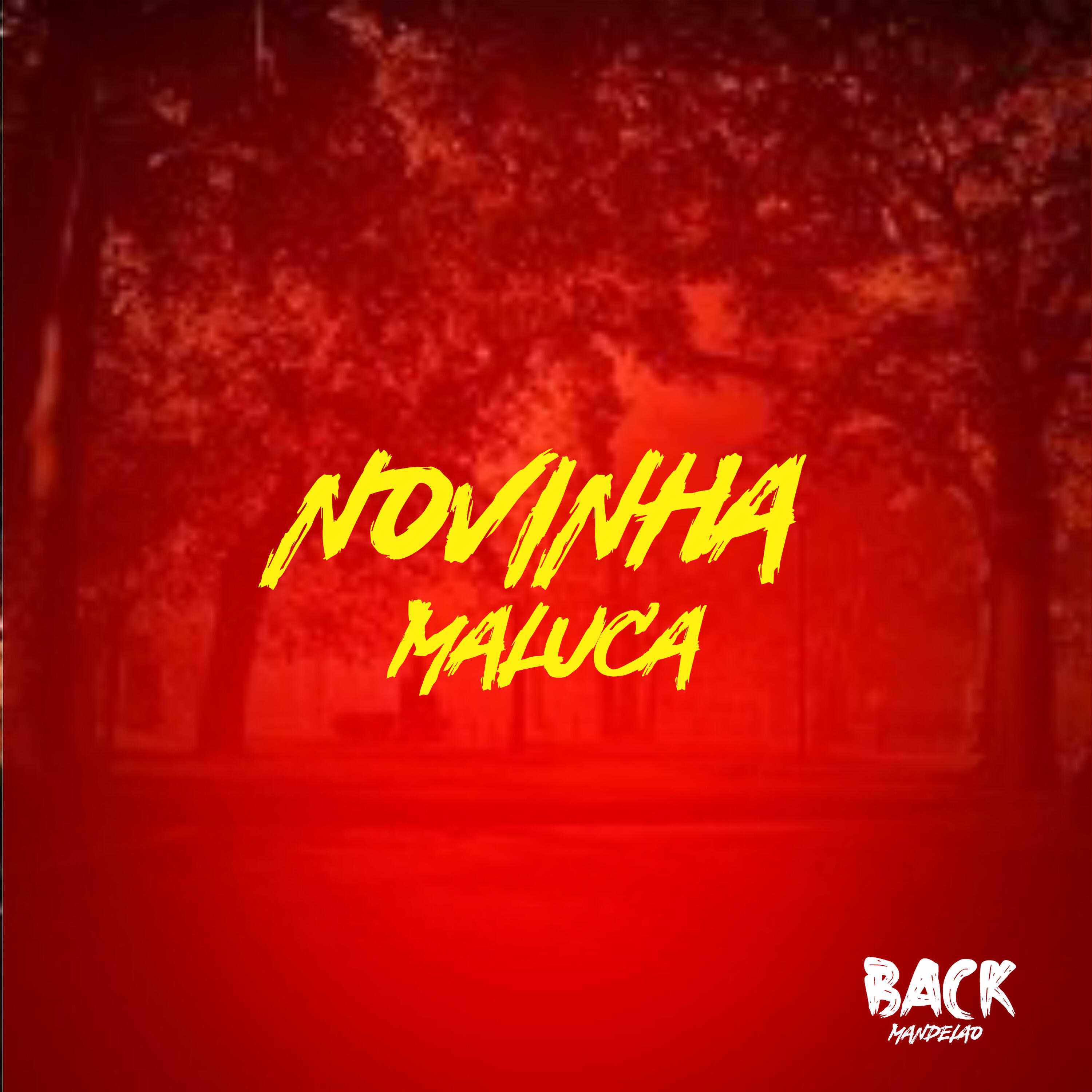 Релиз Novinha Maluca