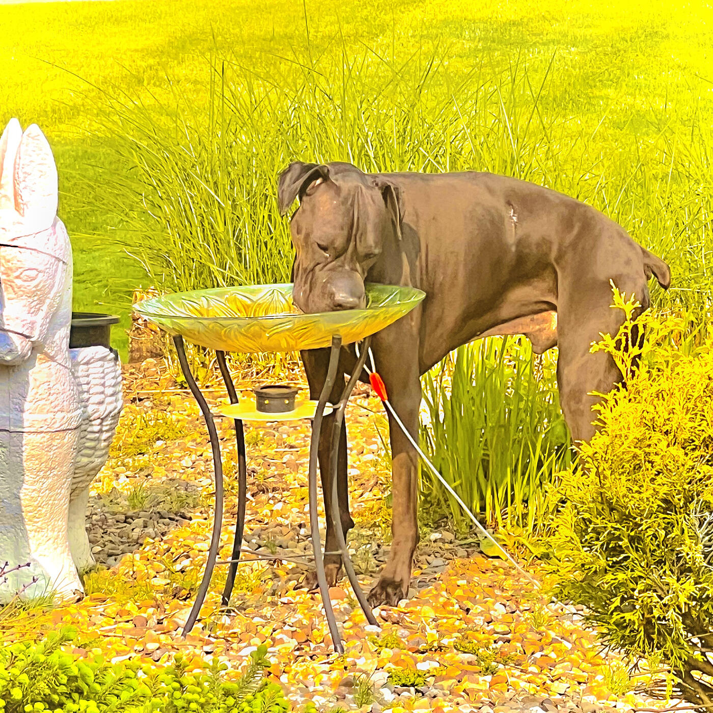 Релиз Ethereal Dream in the Sherwood Estate