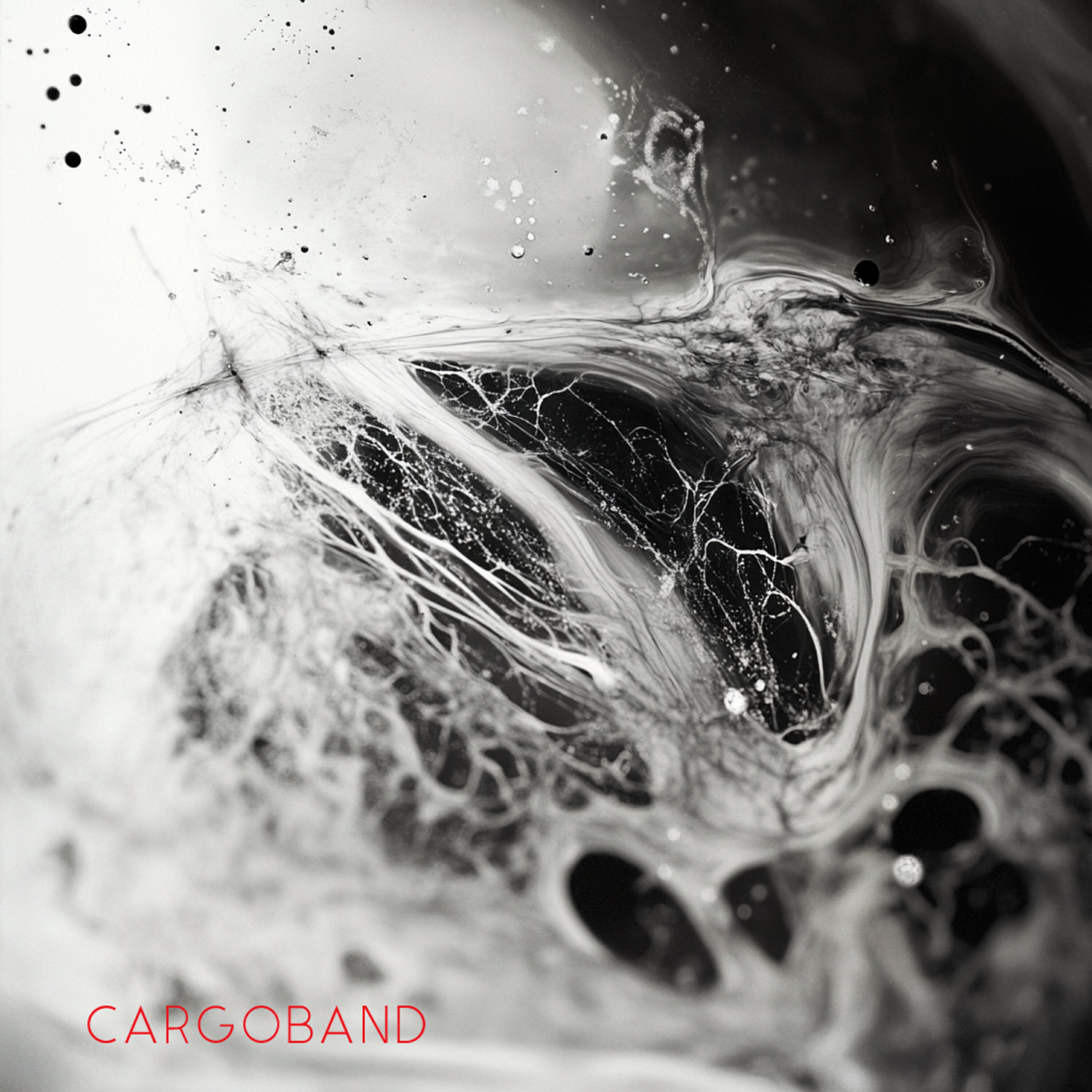 CargoBand