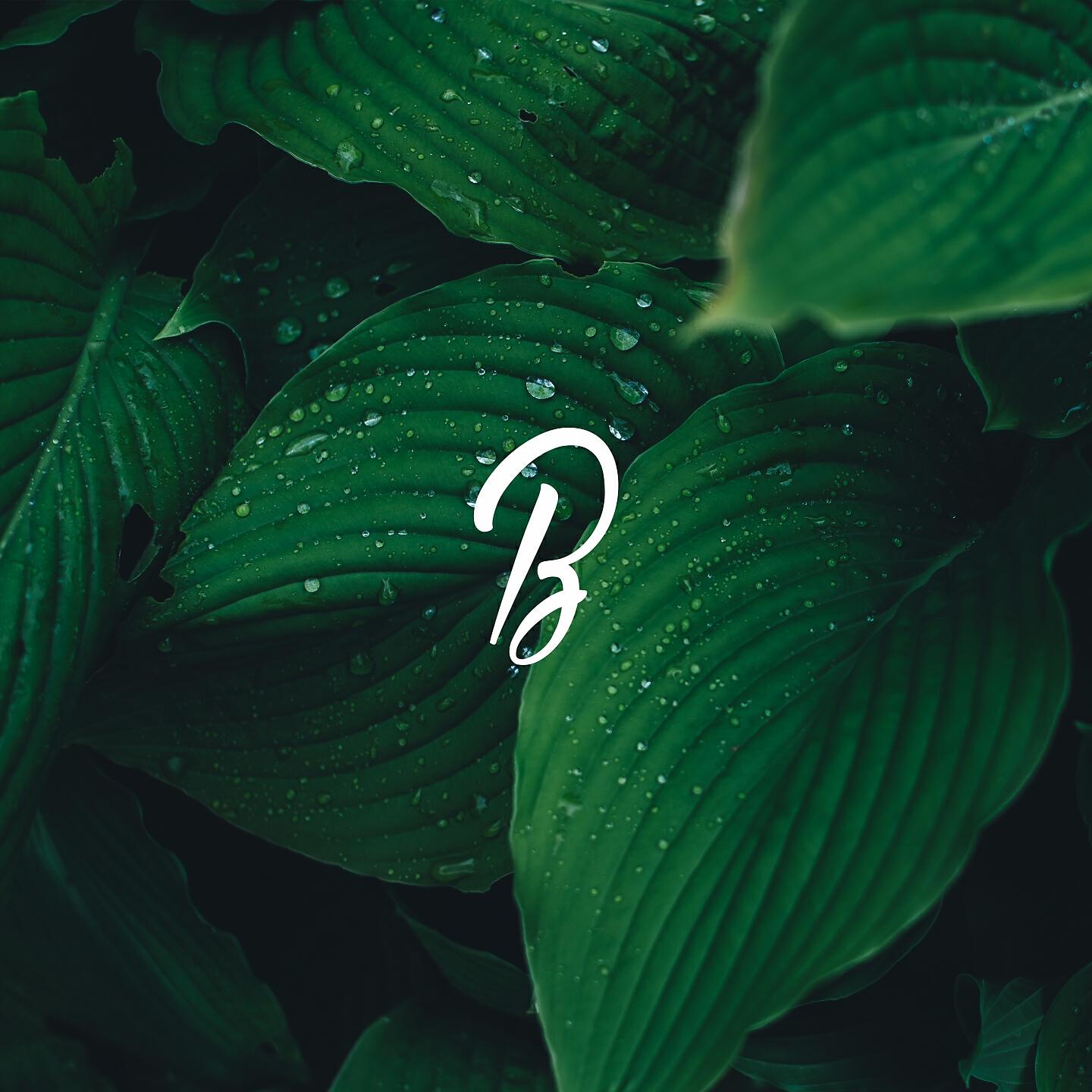 Релиз Green Motions