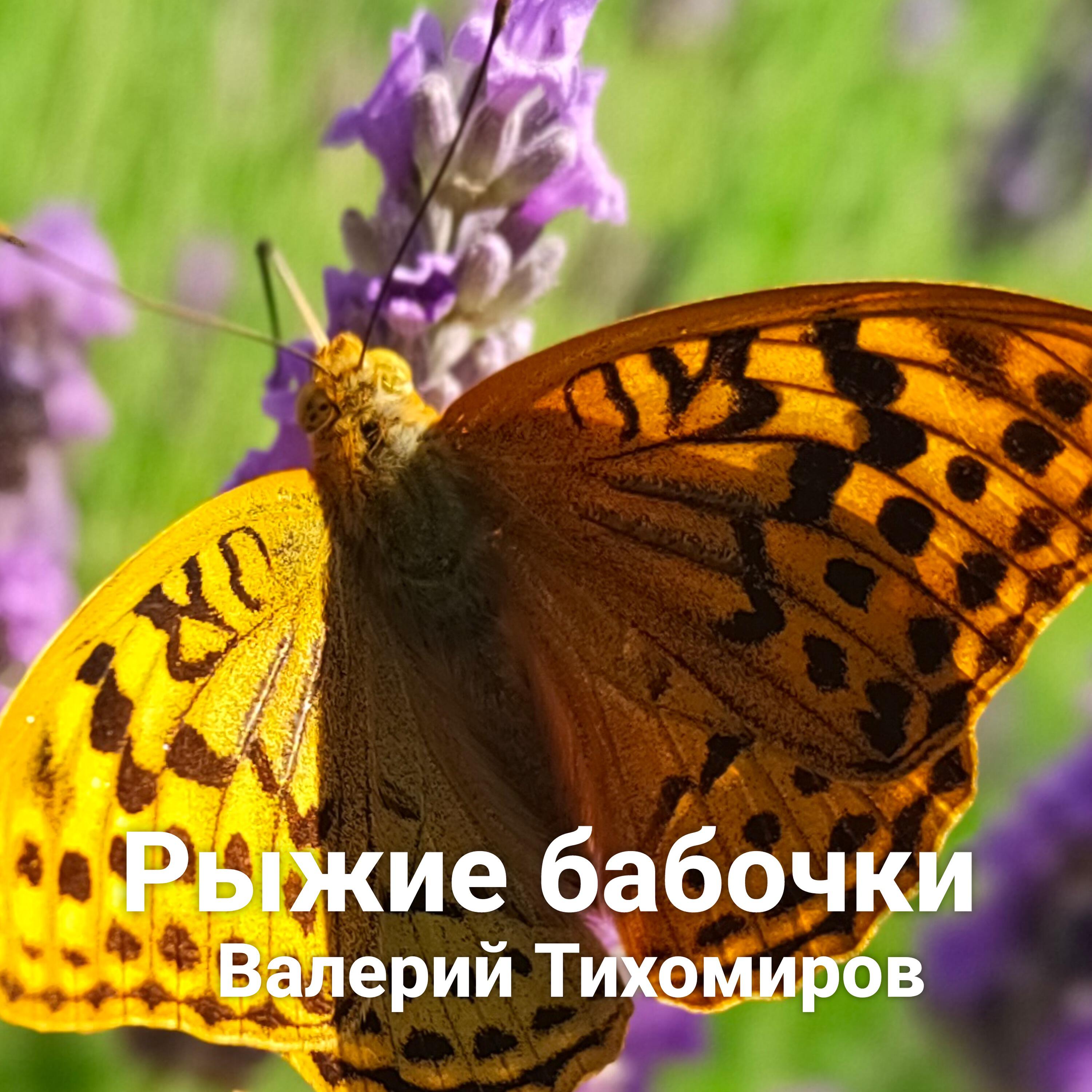 Релиз Рыжие бабочки