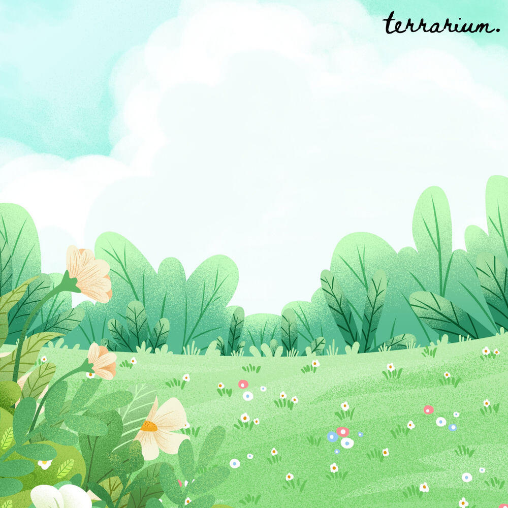 Релиз memory meadow