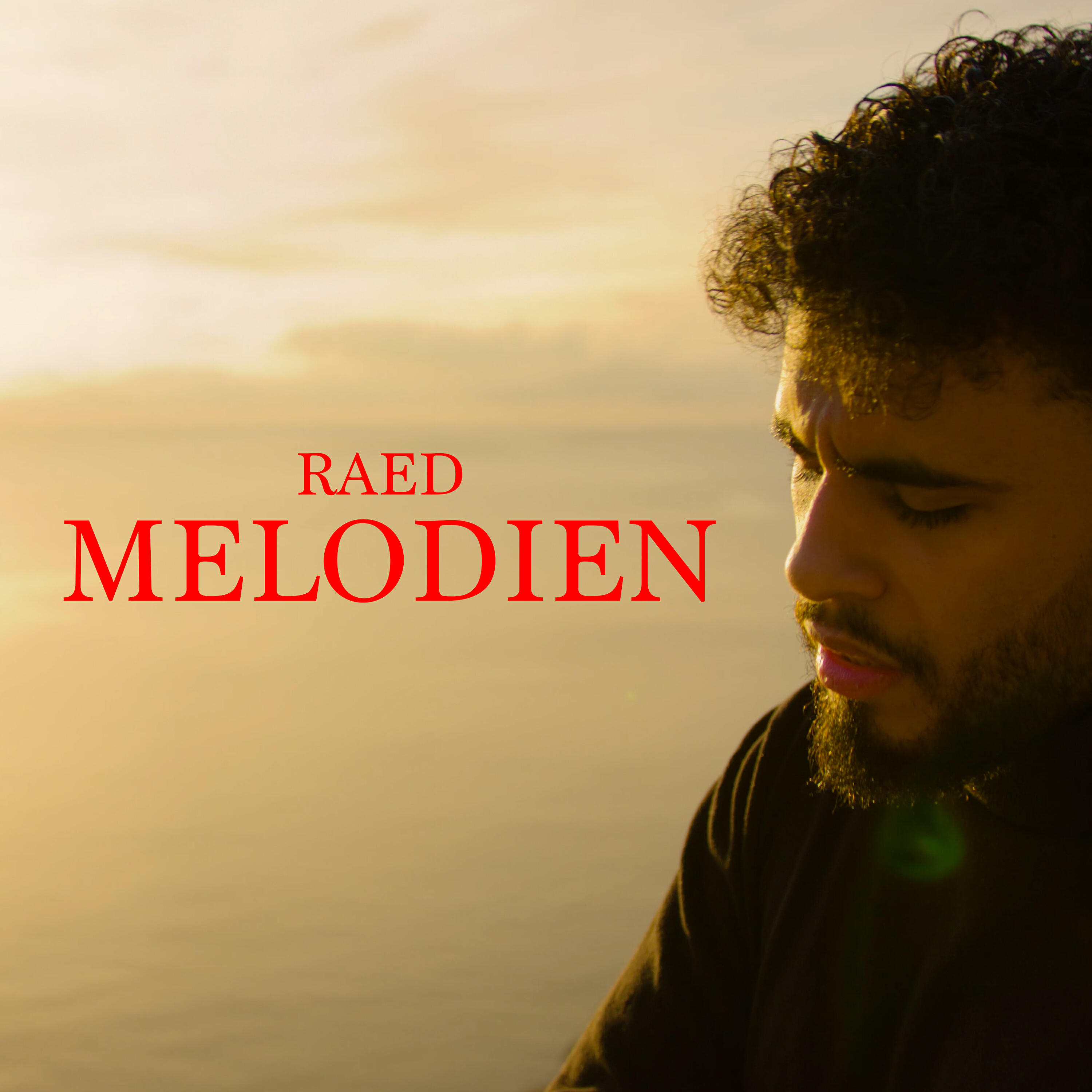 Релиз Melodien