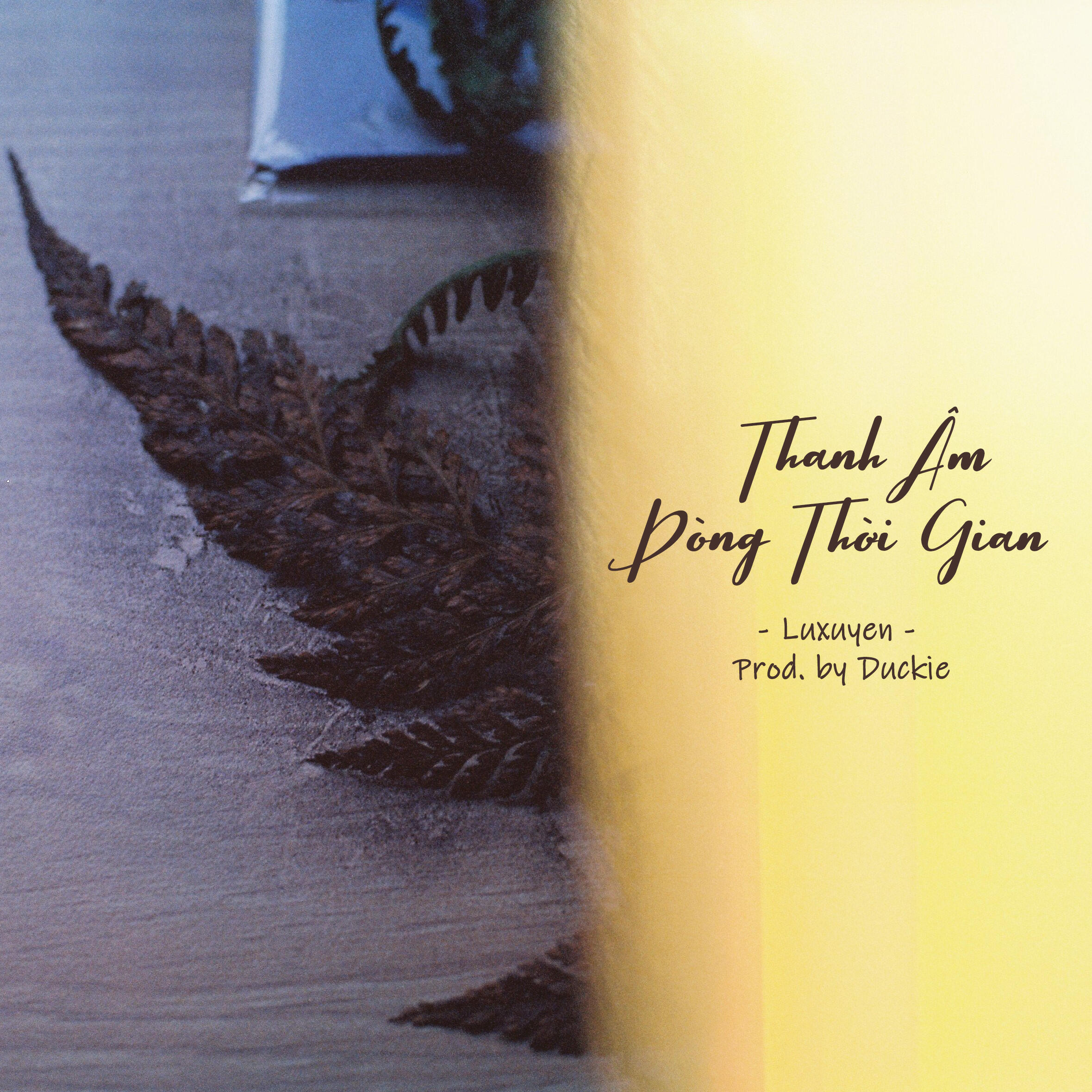 Релиз Thanh Âm Dòng Thời Gian