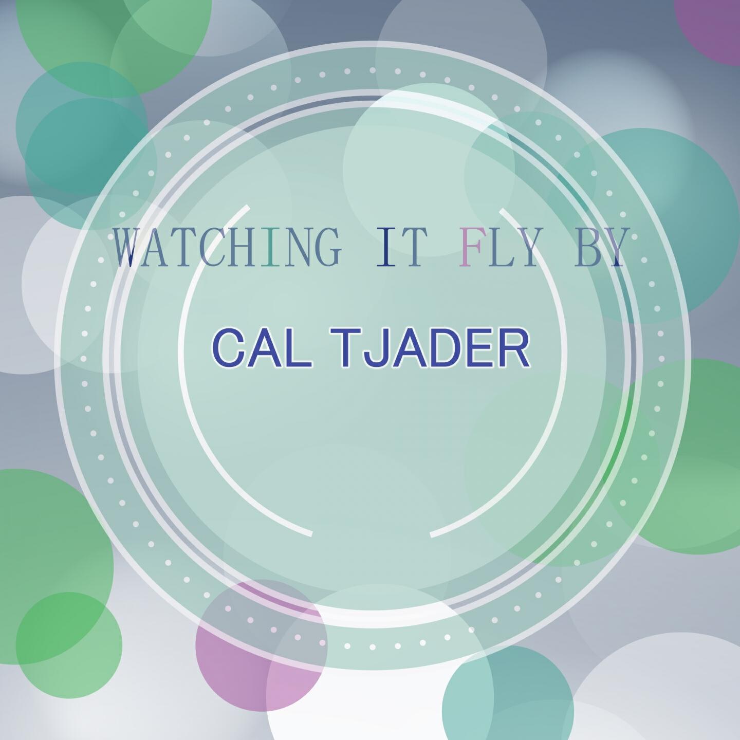 Релиз Watching It Fly By