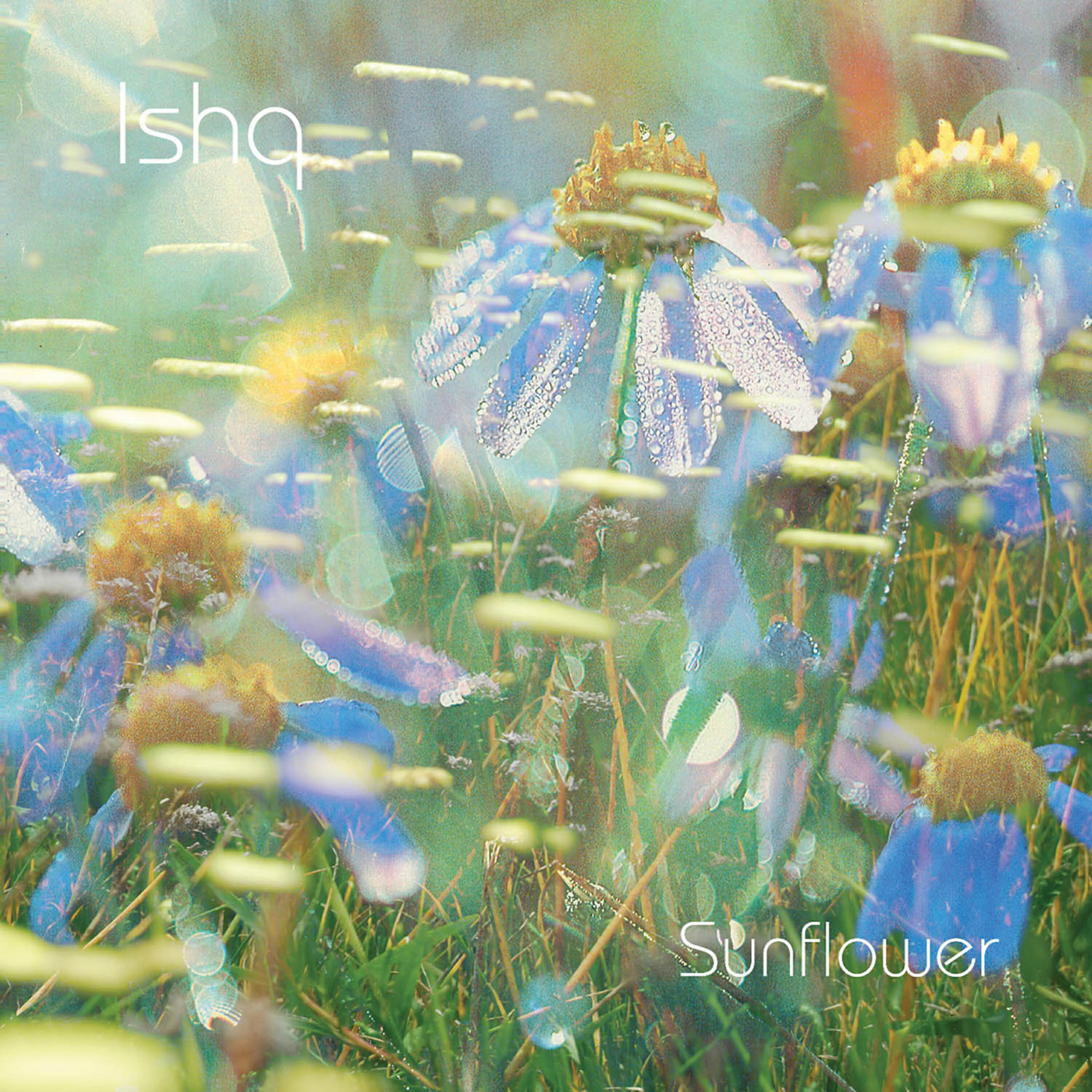 Релиз Sunflower