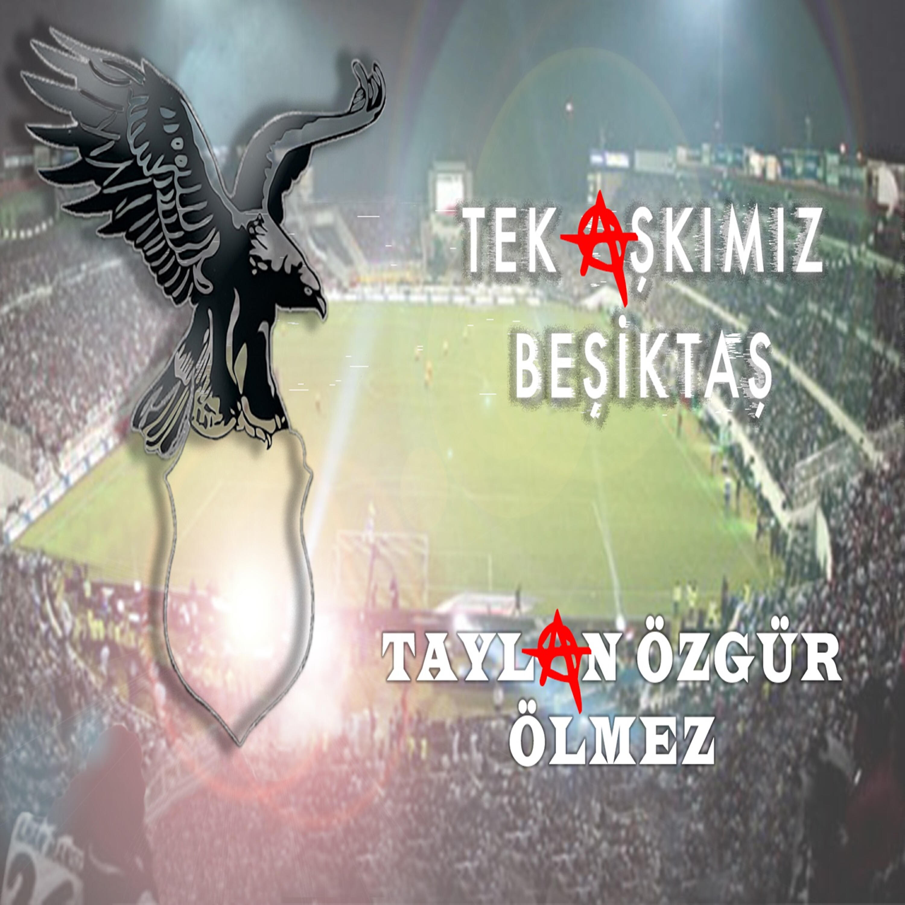 Релиз Tek Aşkımız Beşiktaş