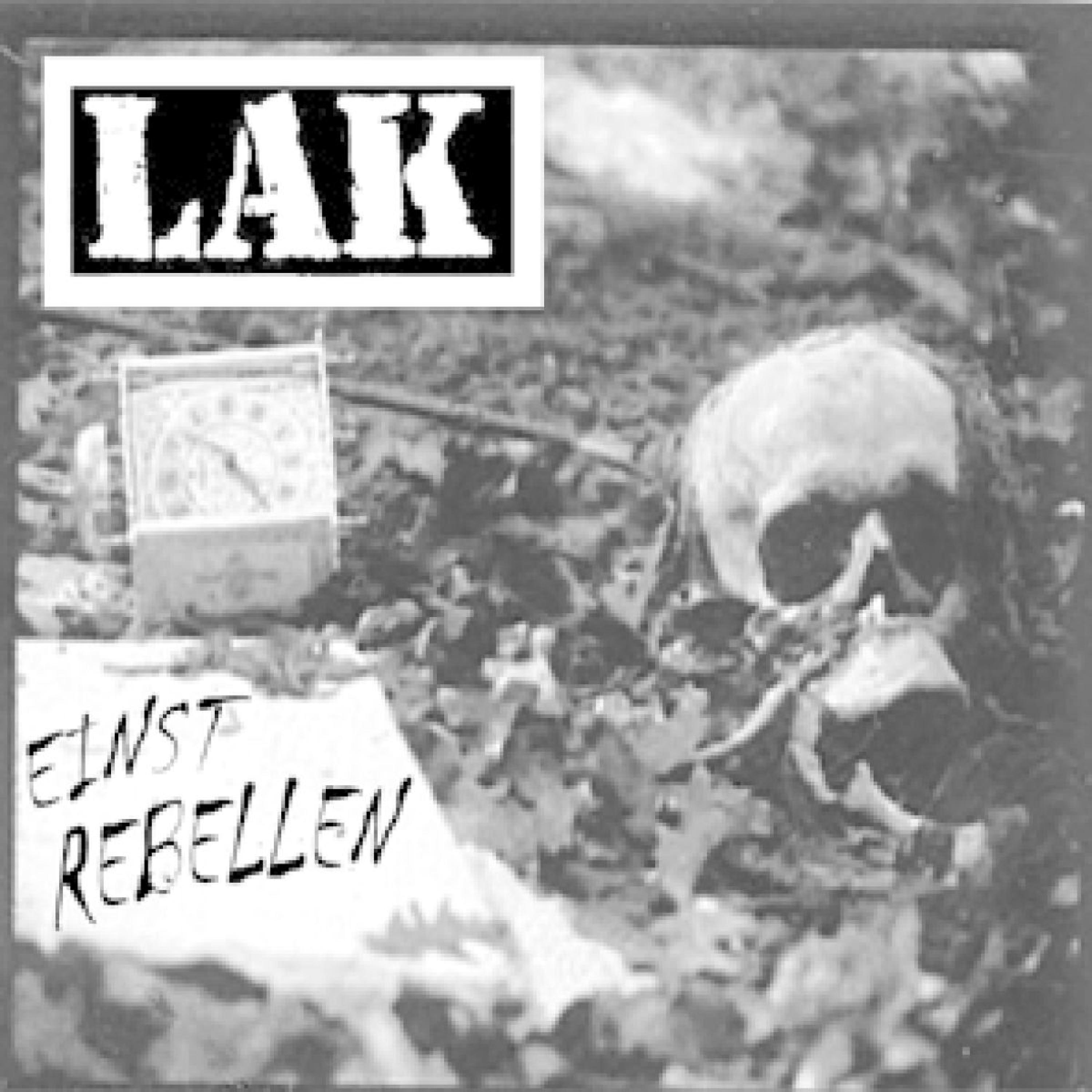 Релиз Einst Rebellen