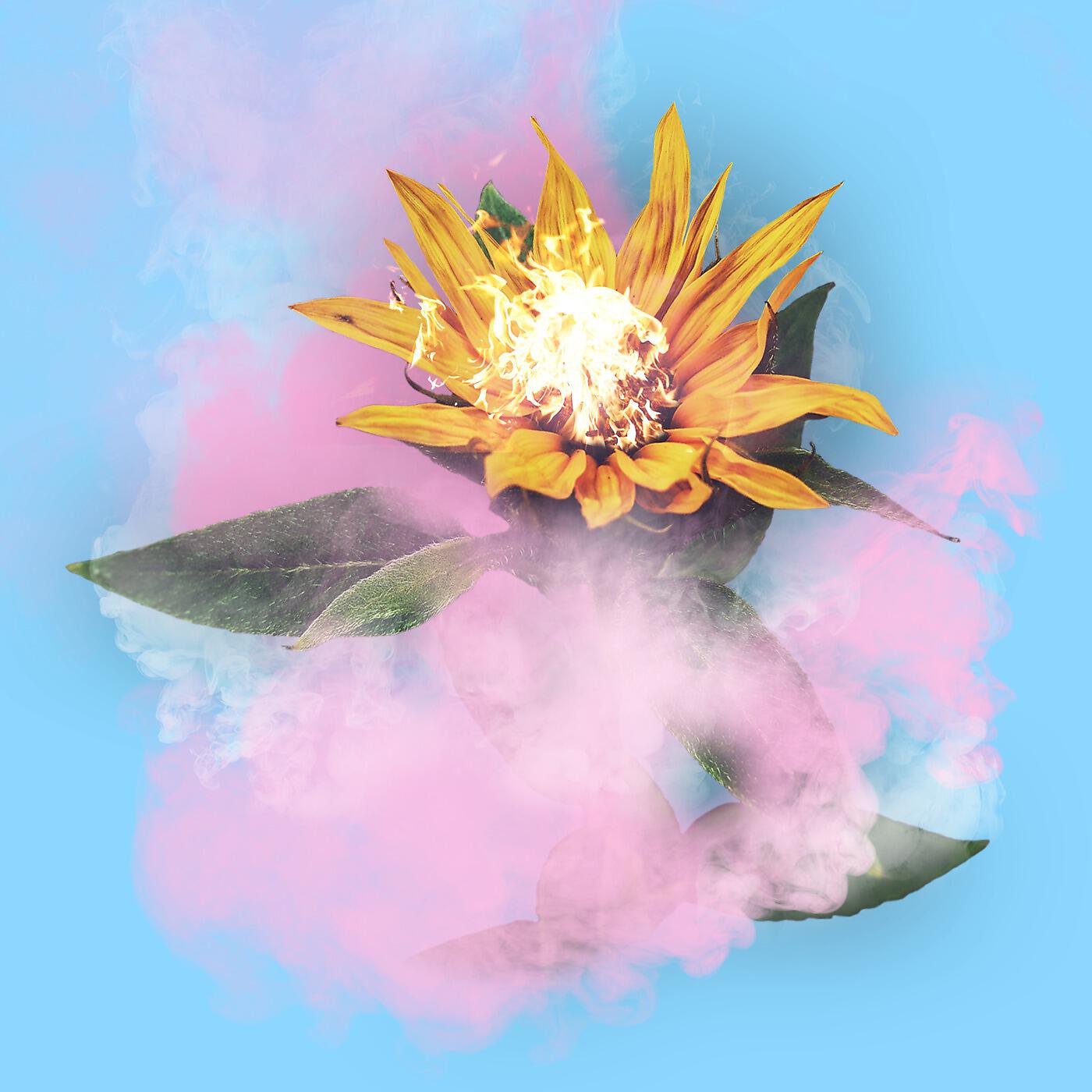 Релиз Wildfire (Studio Version)