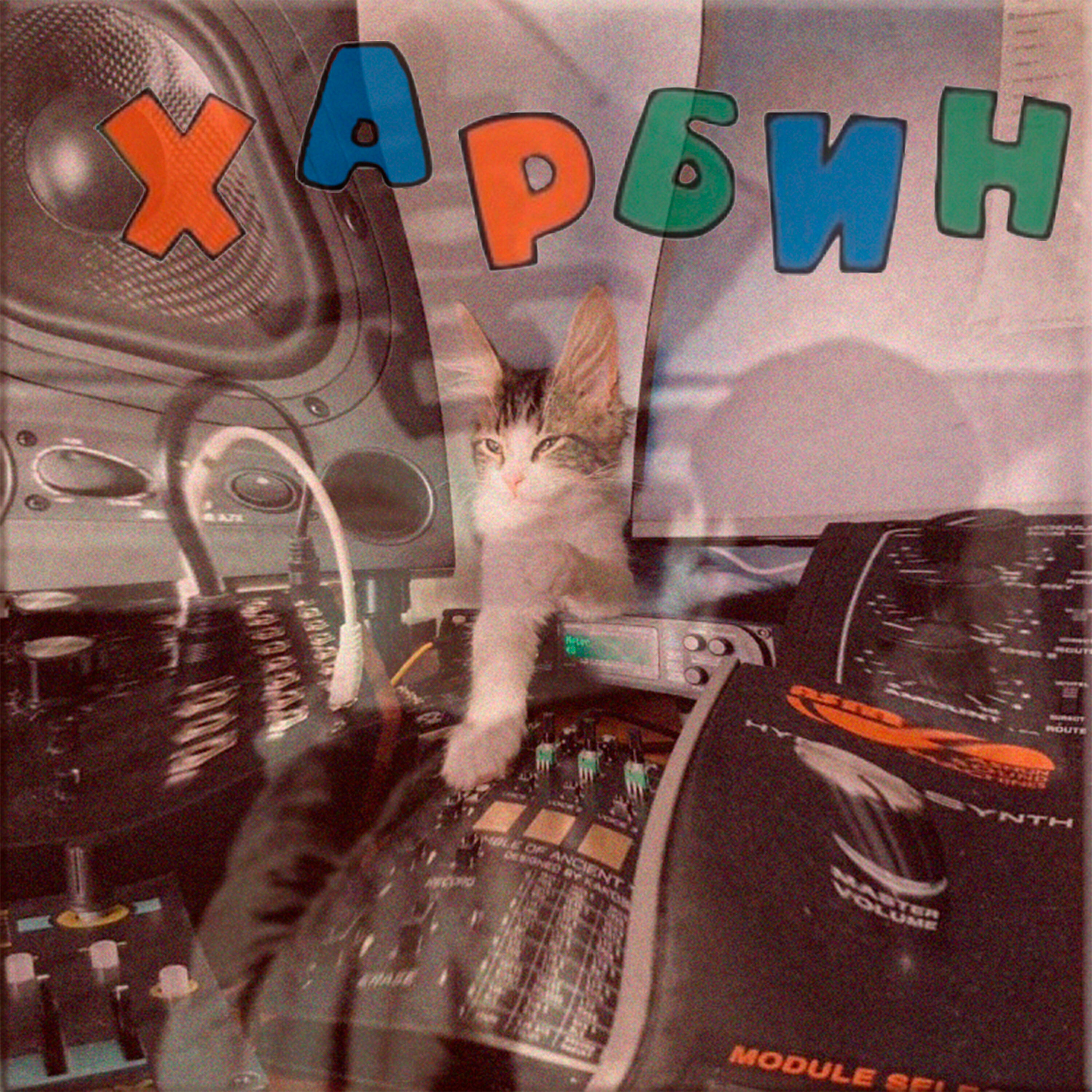Релиз Каракули