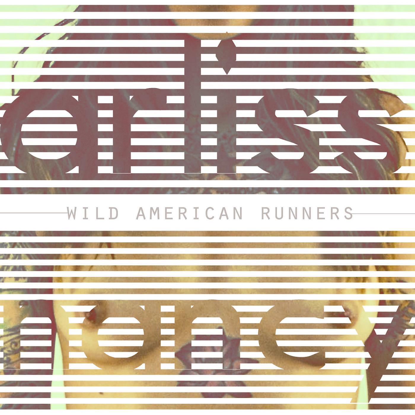 Релиз Wild American Runners