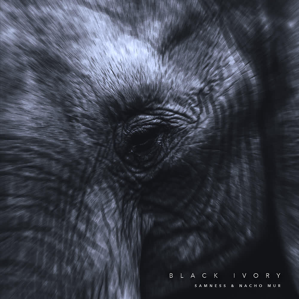 Релиз Black Ivory