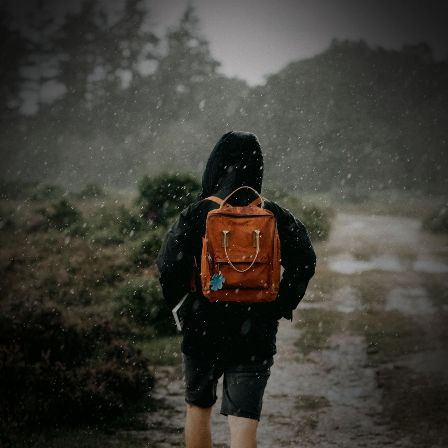 Релиз Calming Sounds of Walking in the Summer Rain for Clear Thinking and Better Focus