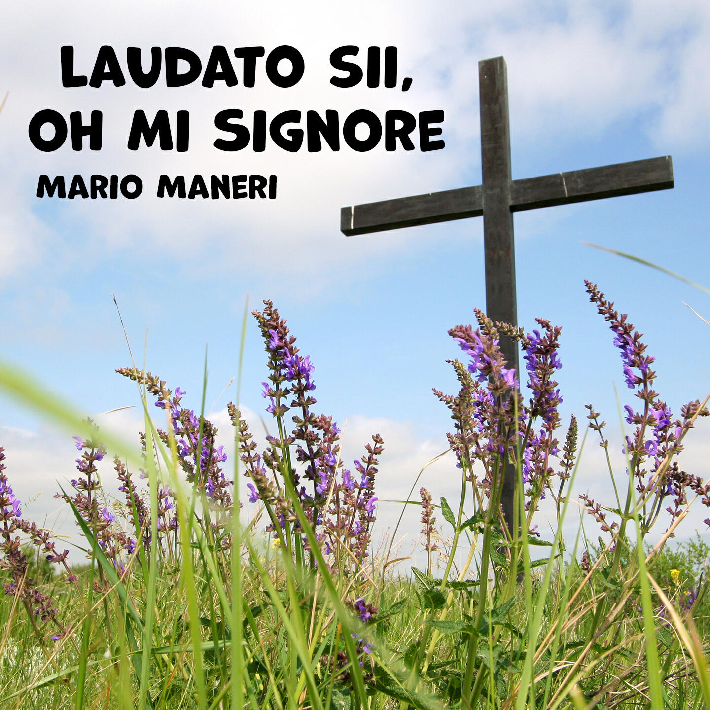 Релиз Laudato sii, oh mi Signore