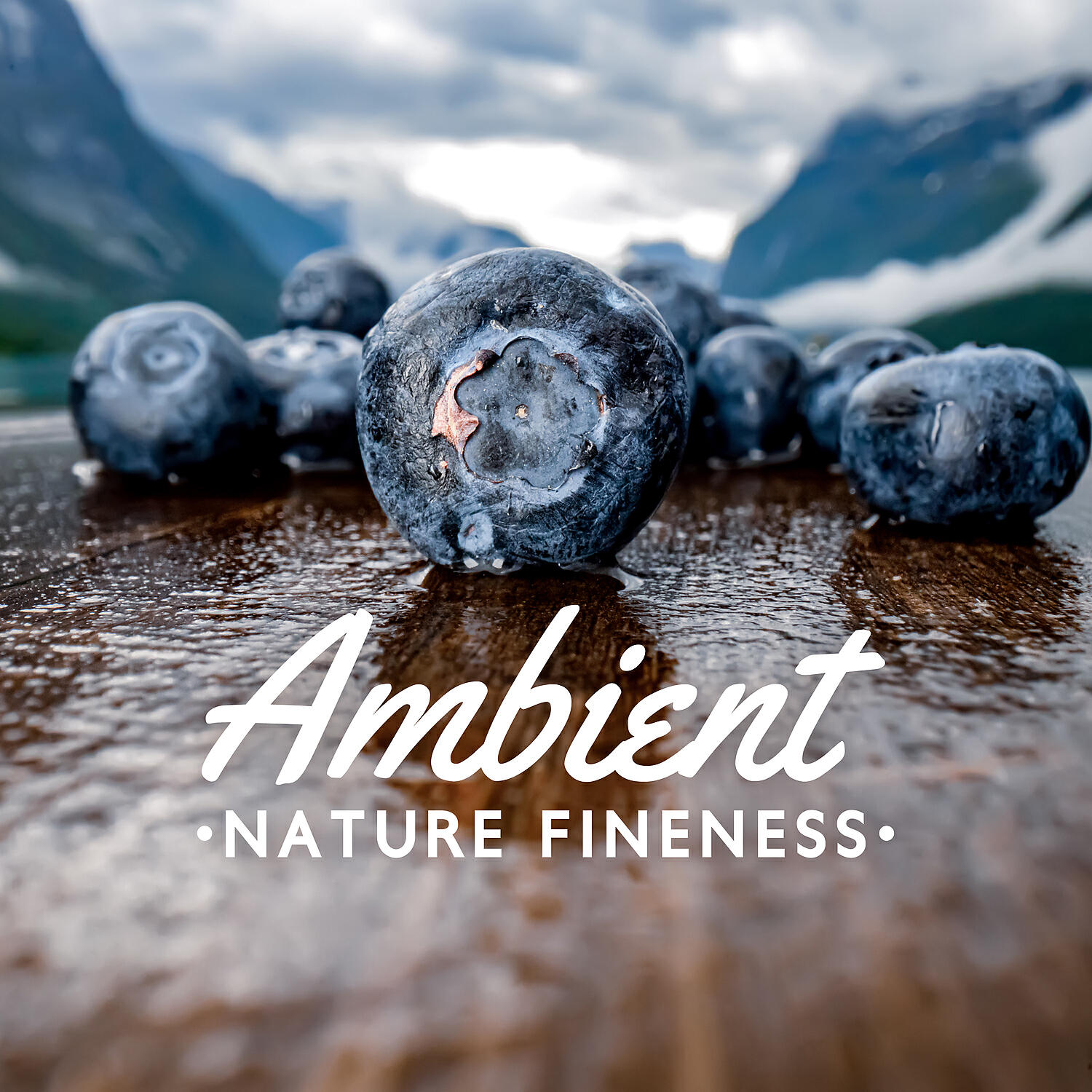 Релиз Ambient Nature Fineness