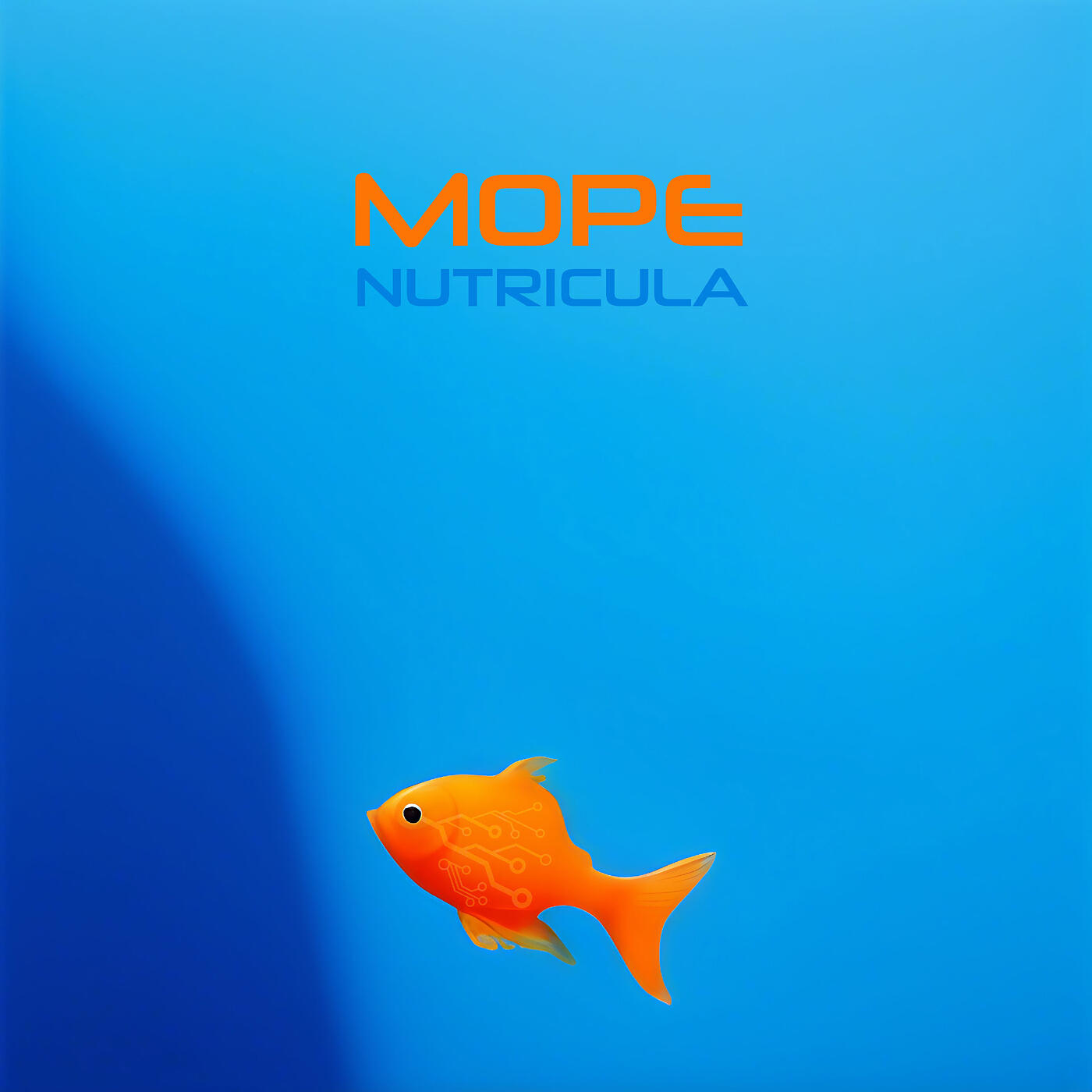 Постер альбома Море