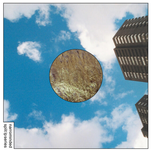 Релиз Narrominded Split LP Series #3