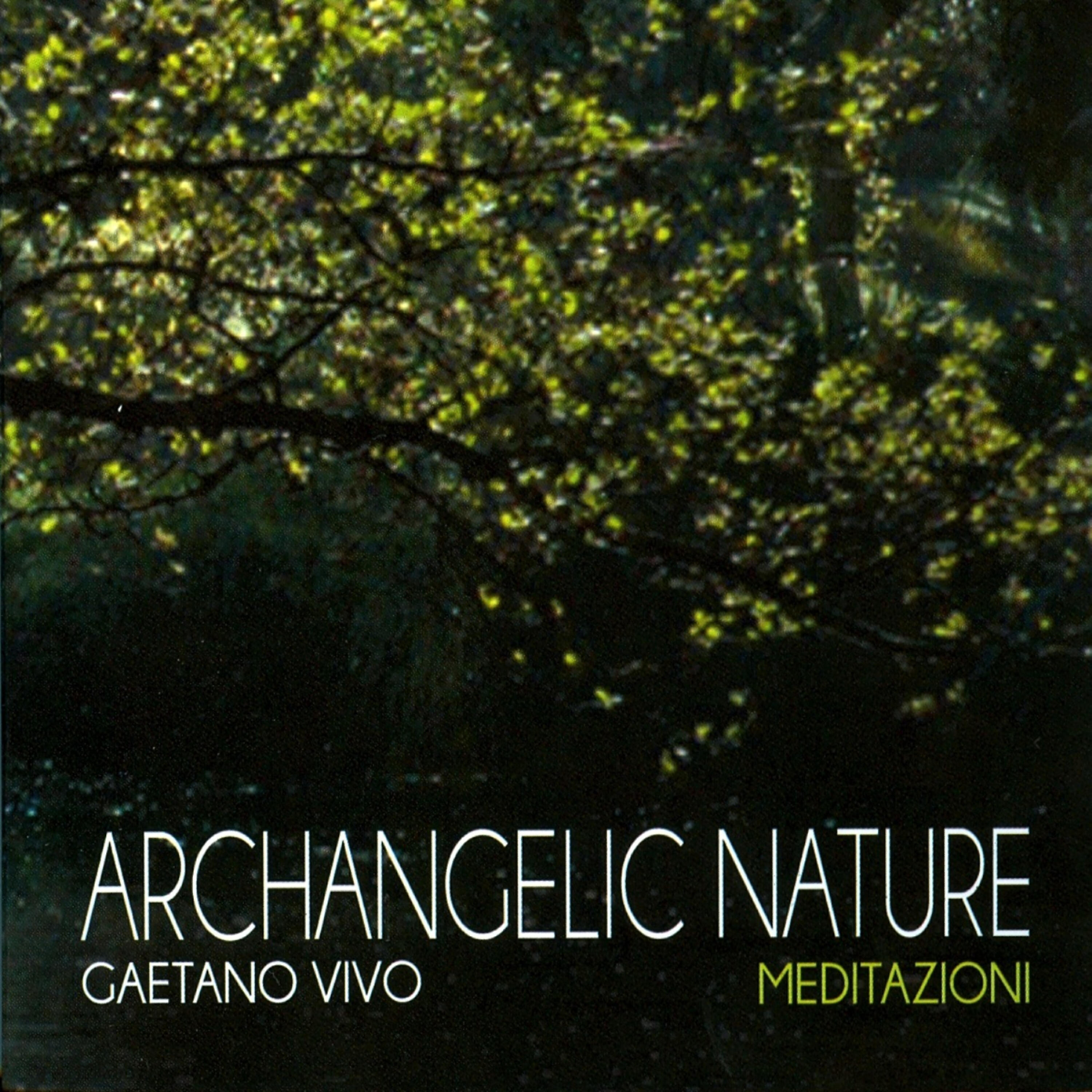 Релиз Archangelic Nature - Meditazioni
