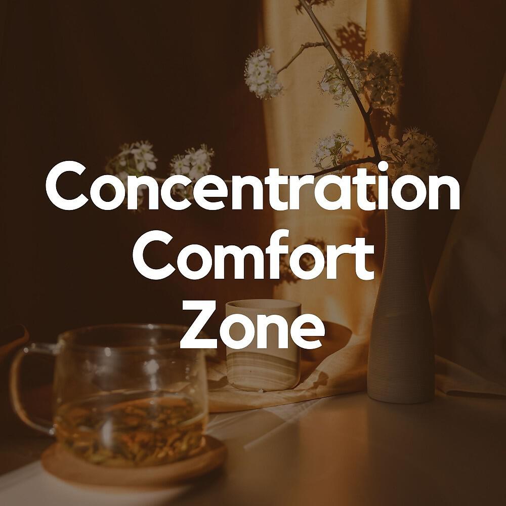 Постер альбома Concentration Comfort Zone