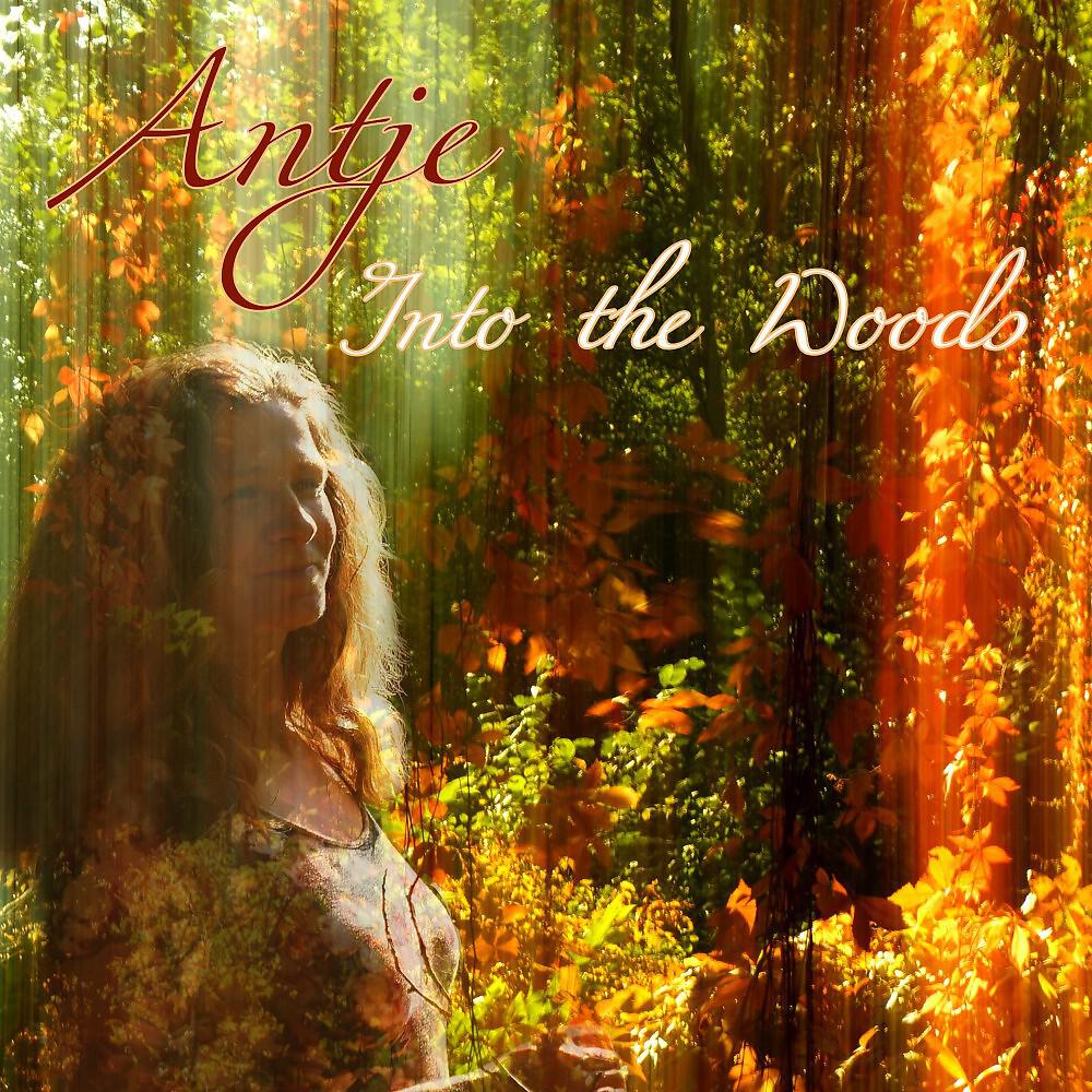 Релиз Into the Woods (Best of Chillout - Lounge - Ambient)